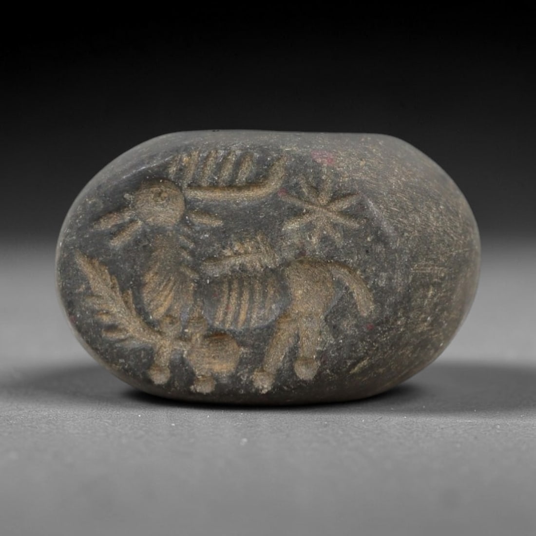 Ancient Dark Stone Stamp Seal - Near Eastern Animal Figure, 84AN: Carved from dense, dark grey stone, this hemispherical stamp seal bears incised iconography of two recumbent animals in profile, accompanied by a star-like celestial symbol and a leafy vegetal motif.