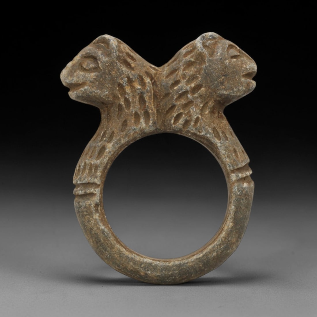 Ancient Steatite Ring - Achaemenid Double Feline Signet Ring, 31ZQ: Carved from steatite, this ancient Achaemenid ring features a double feline head motif with linear detailing, characteristic of Achaemenid glyptic art. The ring exhibits a smooth, aged patina consiste