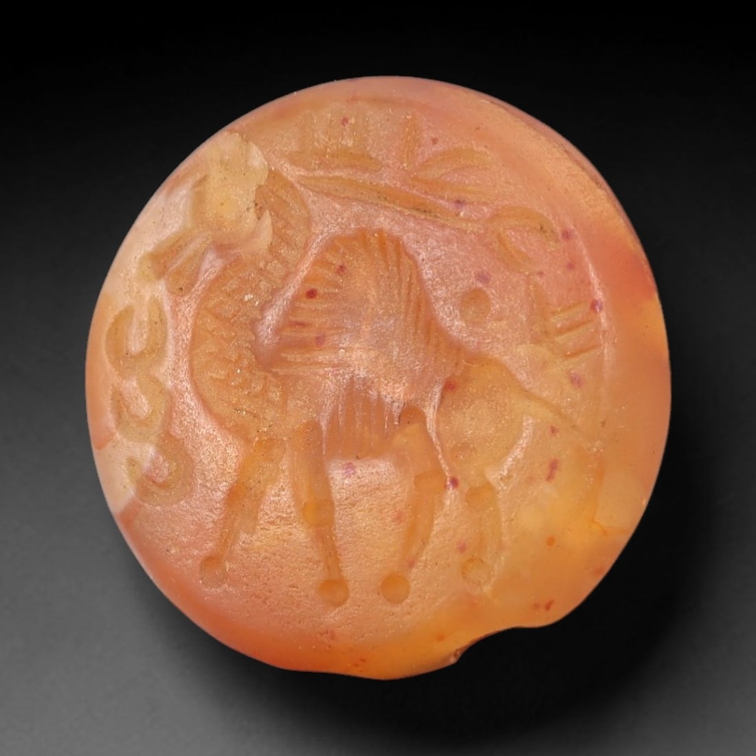 Ancient Carnelian Intaglio - Near Eastern Camel Figure, 34XV: This intaglio is carved from carnelian, a stone highly valued in ancient Near Eastern and Mediterranean glyptic traditions for its warm hue and durability. The circular bezel bears a raised relief dep