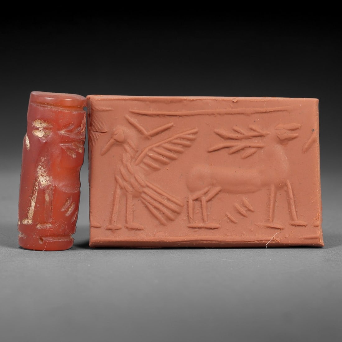 Ancient Carnelian Cylinder Seal - Mesopotamian Avian & Stag Scene, 56AN: Carved from rich red carnelian, this ancient Mesopotamian cylinder seal features a refined linear relief composition of a standing winged bird and a stag, executed in the characteristic glyptic style