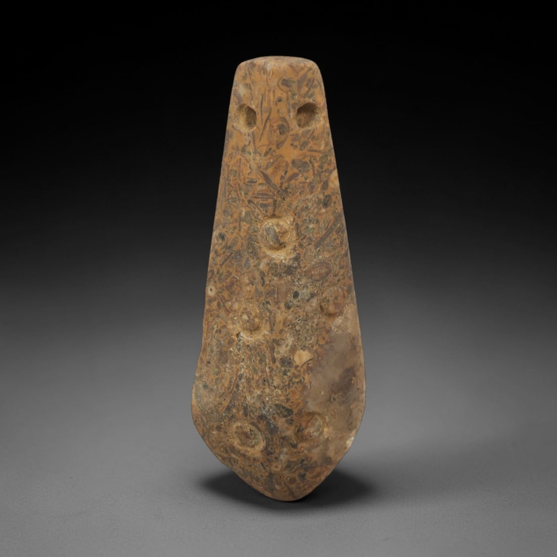 Ancient Fossiliferous Stone Pendant - Near Eastern Ritual Amulet, 89XP: Carved from a striking fossiliferous stone (likely a type of conglomerate or fossil-bearing limestone) with natural embedded shell and organic inclusions, this elongated pendant is a rare example of a