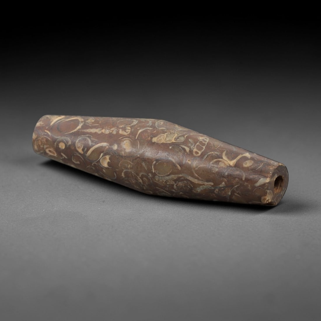 Ancient Fossiliferous Stone Bead - Natural Patterned Tube Bead, 57AH (1 of 2)