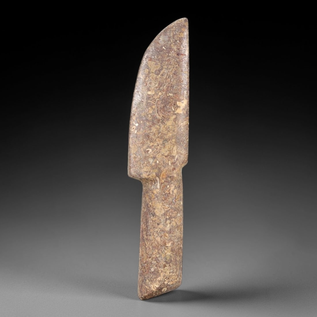 Ancient Fossilized Stone Ritual Blade - Near Eastern Ceremonial Artifact, 53AN: Carved from fossilized stone, this ritual blade features a distinct curved cutting edge and integrated handle, showcasing natural fossil inclusions throughout its matrix. The earthy, variegated stone