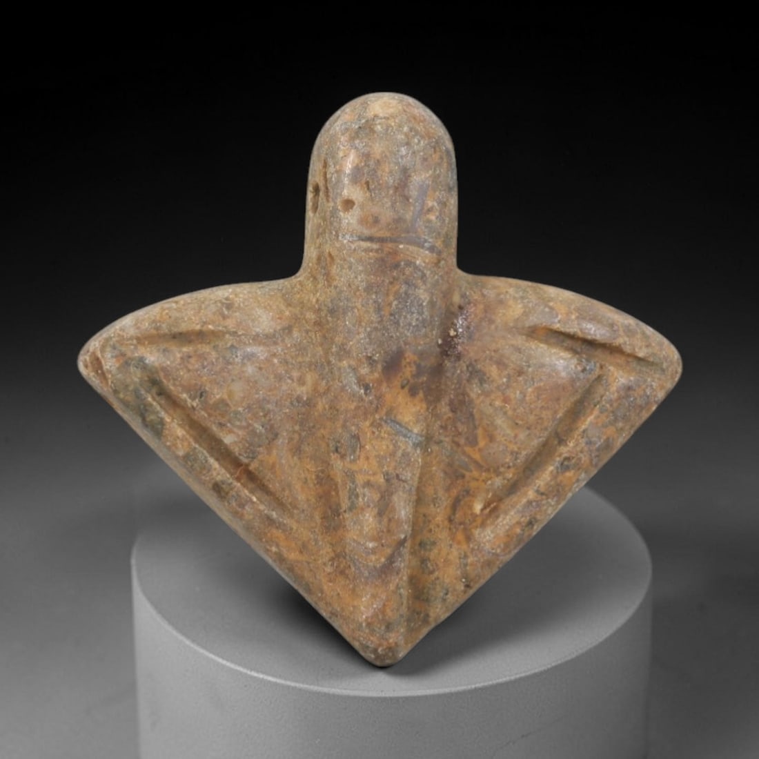 Ancient Fossilized Stone Bird Amulet - Near Eastern Figurine, 39AR: This artifact is carved from fossilized stone, exhibiting a weathered, earthy texture with natural mineral patterning and subtle surface wear consistent with age. The form is a stylized bird amulet, w