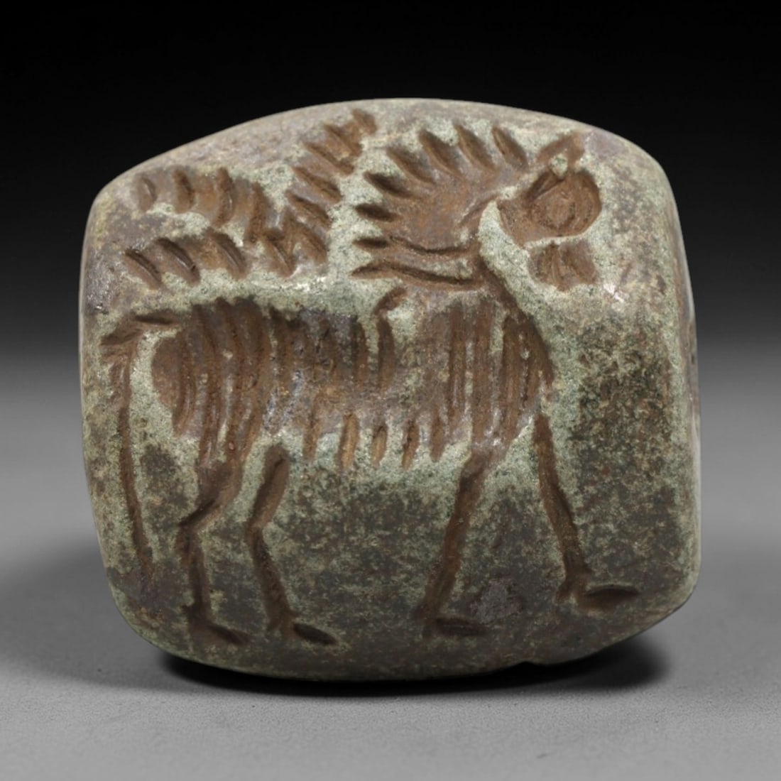 Ancient Near Eastern Stone Animal Stamp Seal - Amulet, 55ZR: This artifact is a carved stone stamp seal amulet, crafted from a dense, greenish-brown stone with a textured surface and earthy patina filling the incised figural details. The double-convex seal face