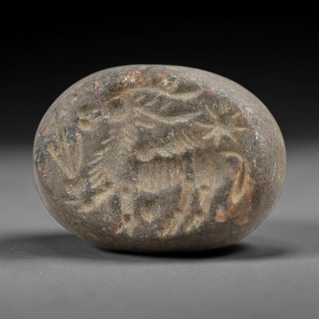 Ancient Stone Hemispherical Stamp Seal - Near Eastern Winged Beast Amulet, 23AN: This ancient Near Eastern hemispherical stamp seal is carved from a dense, earthy stone, likely steatite or chlorite, with a rich, weathered patina indicative of long-term burial. The seal's oval face