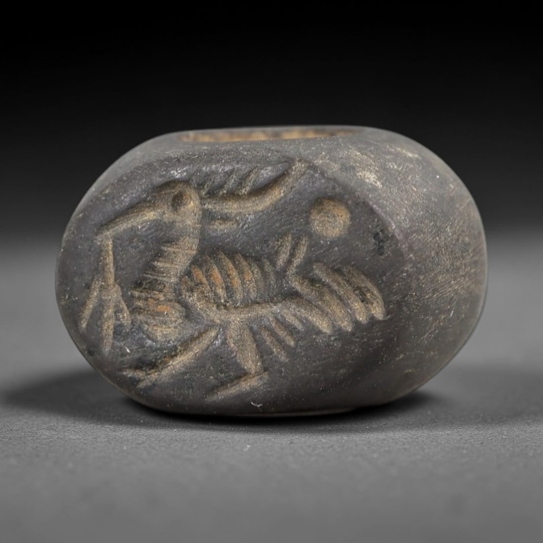 Ancient Stone Hemispherical Stamp Seal - Near Eastern Bird Figure, 34AN: Carved from a dense, dark grey stone, this hemispherical stamp seal features a flat, oval face incised with a stylized bird in profile. The bird is rendered with detailed linear patterns defining its