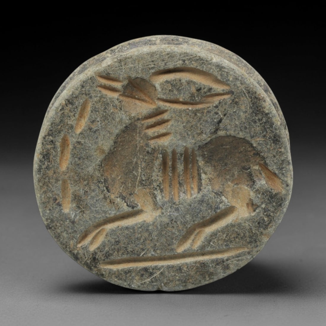 Ancient Schist Double-Convex Seal - Near Eastern Animal Motif, 28ZQ: Carved from schist stone, this ancient Near Eastern double-convex seal bead features a raised relief animal motif with linear detailing on the convex surface, typical of small administrative or ritual