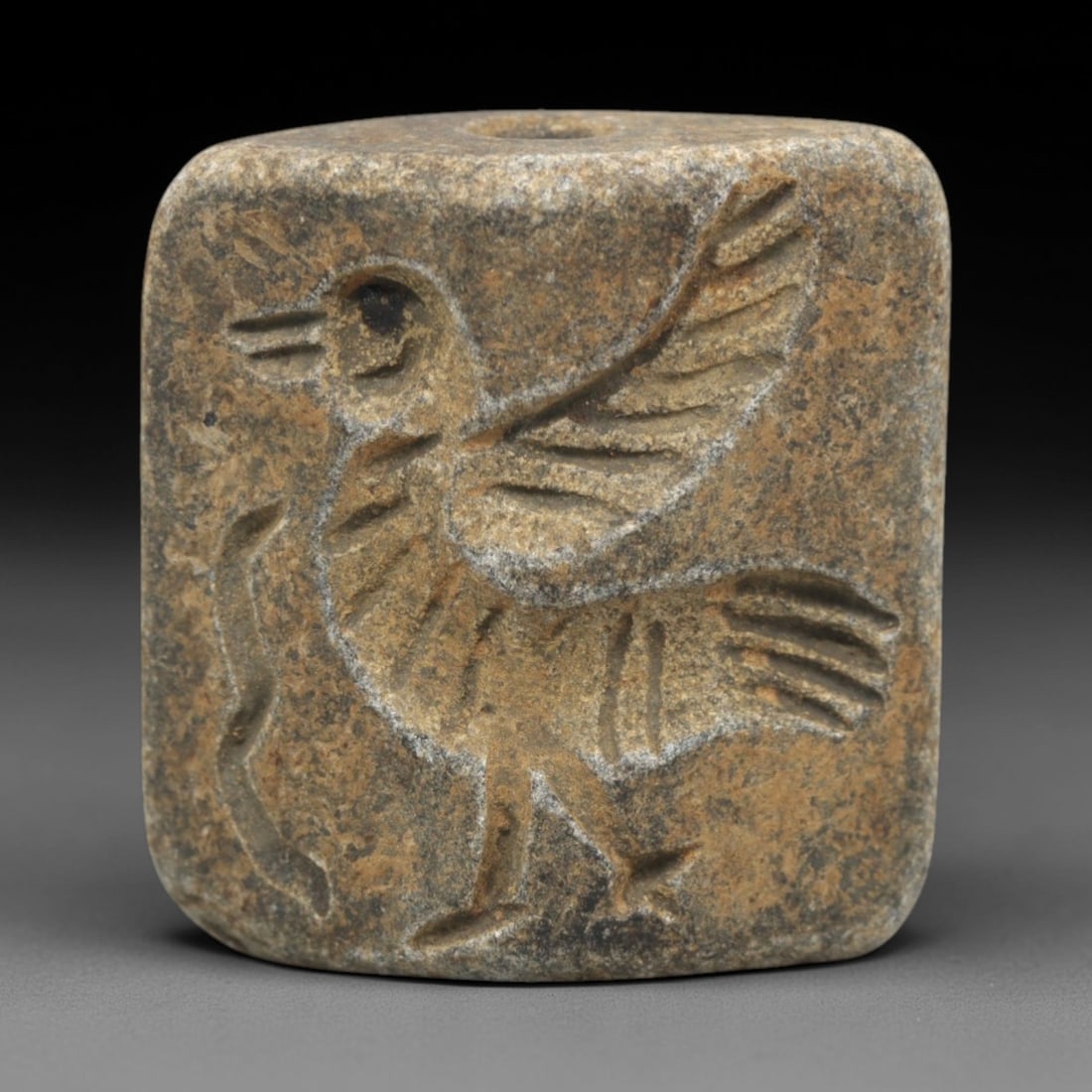 Ancient Schist Double Convex Intaglio Bead Amulet - Near Eastern Avian Motif, 4ZS (1 of 2)