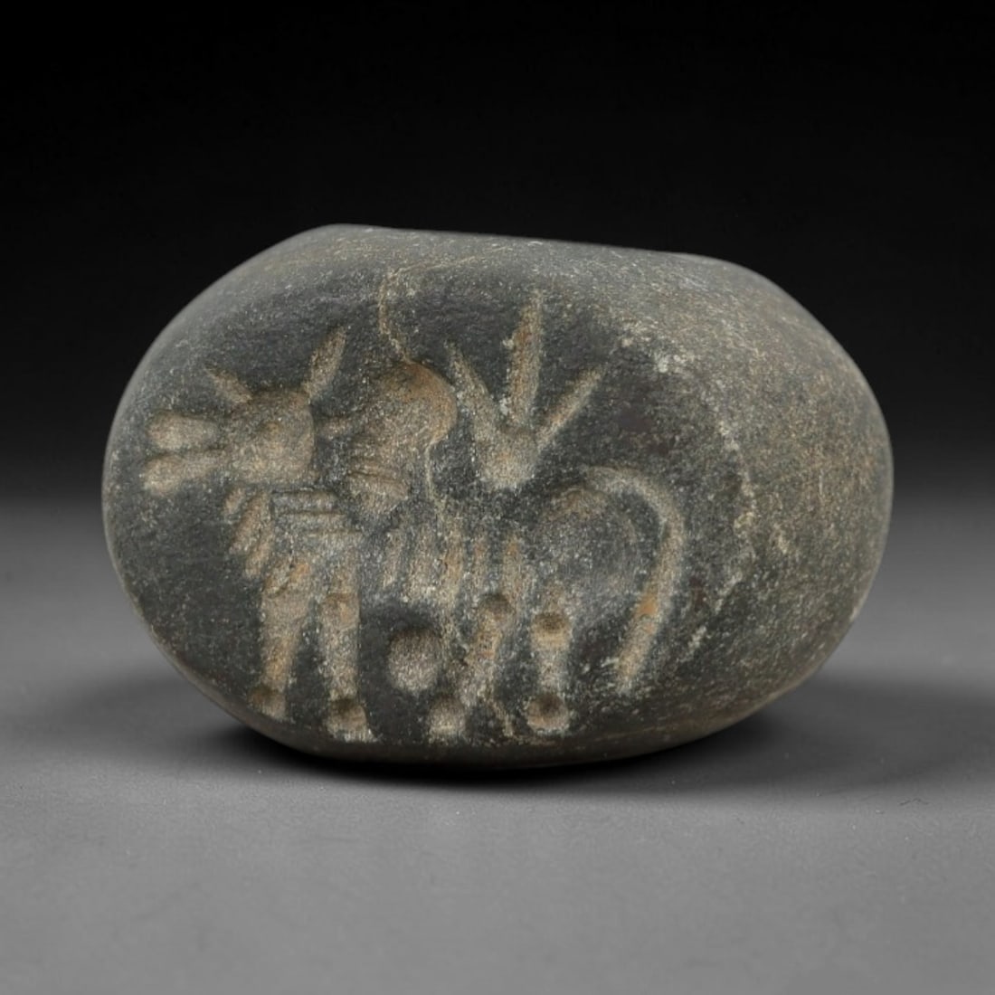 Ancient Stone Hemispherical Stamp Seal - Near Eastern Animal Figure, 85AN: Carved from a dense, dark grey stone, this hemispherical stamp seal features a flat, oval face incised with a stylized quadrupedal animal in profile, likely a donkey or equid, alongside a radiate plan
