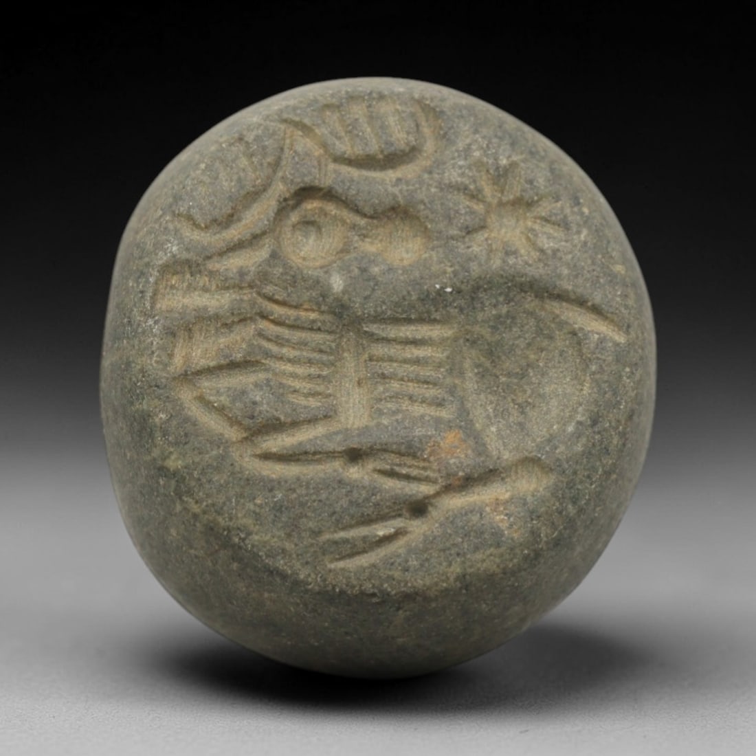Ancient Stone Hemispherical Stamp Seal - Near Eastern Ibex Star Figure, 38ZS (1 of 2)