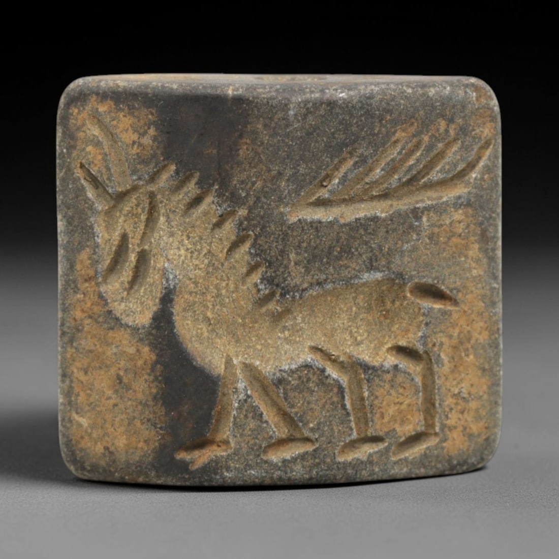 Ancient Schist Double Convex Bead Amulet - Near Eastern Caprine Intaglio, 15ZS: Carved from dark gray schist, this 2.6x2.2cm double convex bead amulet features two distinct intaglio motifs: one side depicts a striding ibex-like caprine with long curved horns, incised linear detai
