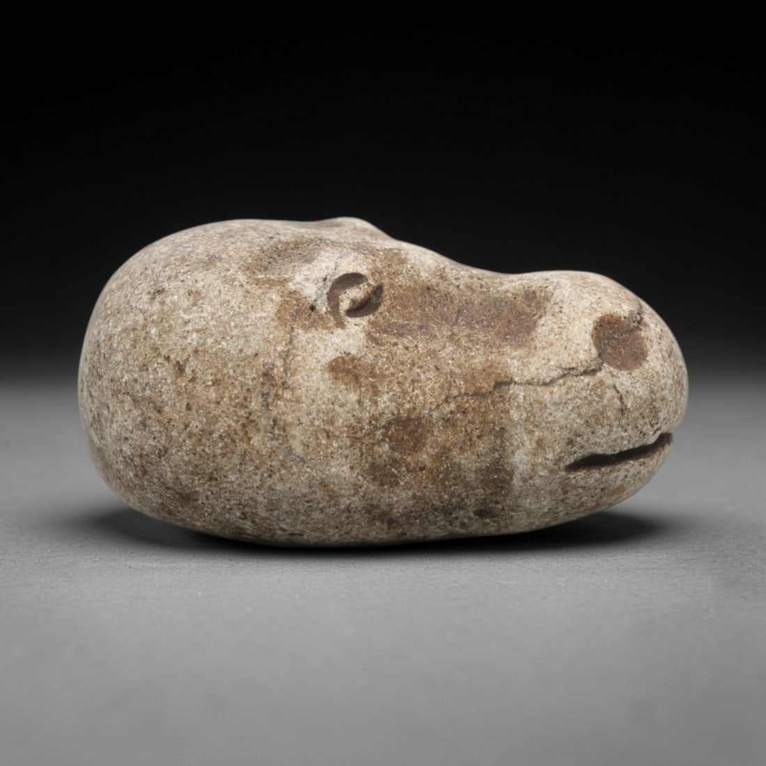 Ancient Stone Zoomorphic Head - Near Eastern Animal Carving, 70ZV (1 of 2)