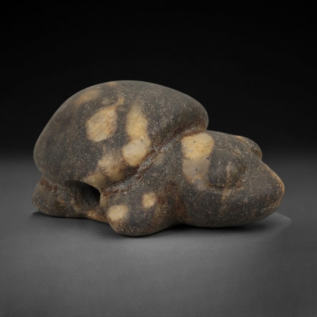 Ancient Speckled Stone Turtle Amulet - Near Eastern Relic, 6AE: Carved from dark grey stone with creamy beige mineral veining, this amulet depicts a stylized turtle in a compact, low-profile form. The creature is rendered with a rounded carapace and simplified fac