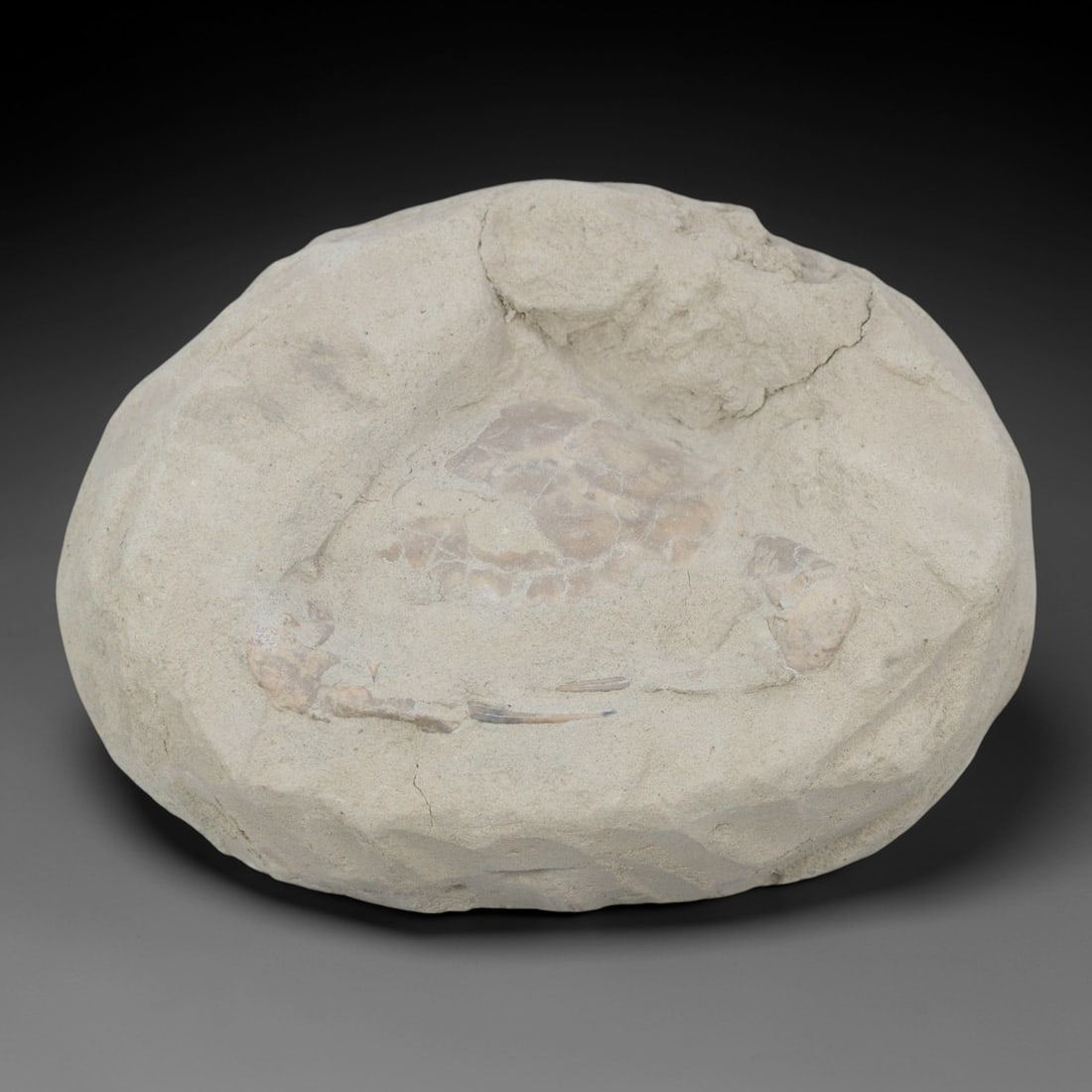 An Indonesian Crab Fossil Specimen in Matrix, 30FV (1 of 1)