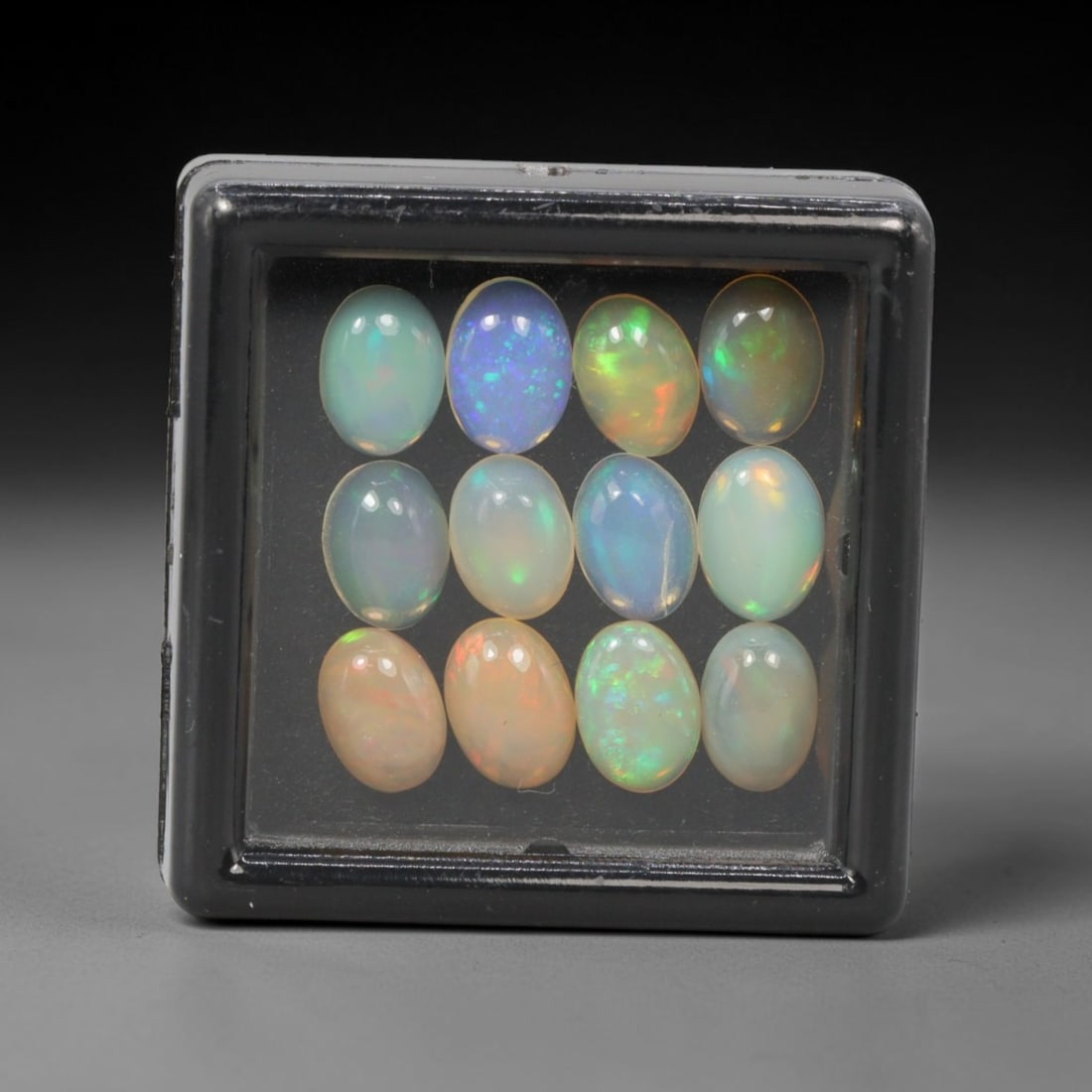 5.12 Carats Natural Ethiopian Welo Opal - Oval Cabochon Loose Gemstone Lot, 43WE: Natural oval cabochon Welo opal lot, sourced from the premium Welo deposit in Ethiopia. This curated collection features 12 exceptional opals with a stunning range of base tones-from icy sky blue, mil