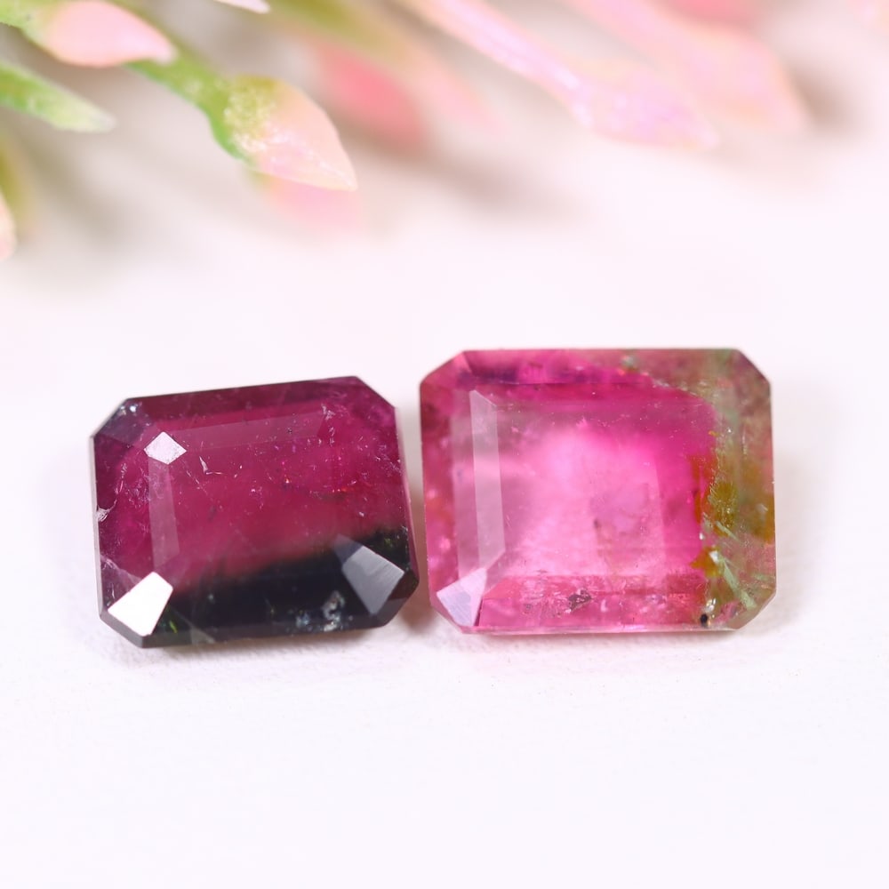 4.05cts Natural Watermelon Tourmaline Set - Bi-Colour Faceted Cut , 89E: ThousandPlanet Auction Subject: Natural Tourmaline Origin: Africa Carat Weight: 4.05 cts Dimension: 9.2x7.8x3.4 mm Type: Faceted, Polished