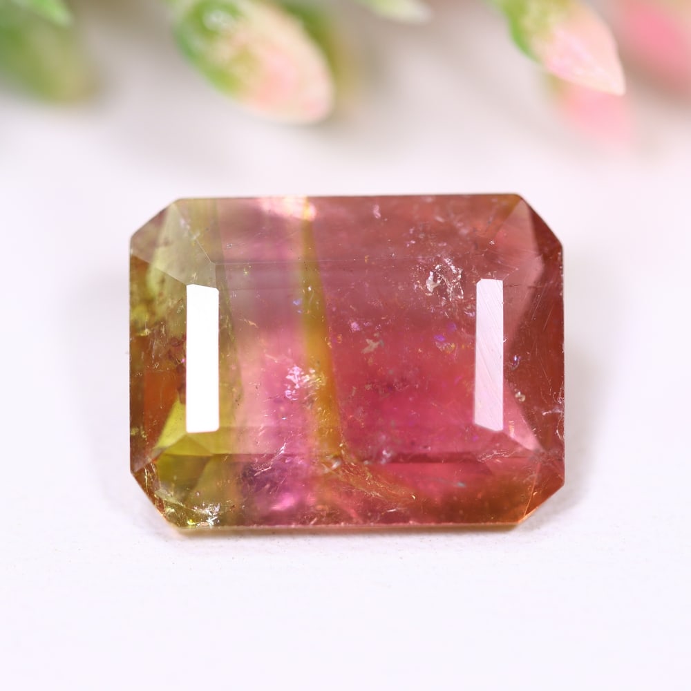 5.53cts Natural Watermelon Tourmaline - Bi-Colour Faceted Cut , 276E: ThousandPlanet Auction Subject: Natural Tourmaline Origin: Africa Carat Weight: 5.53 cts Dimension: 13.2x10.2x4.6 mm Type: Faceted, Polished