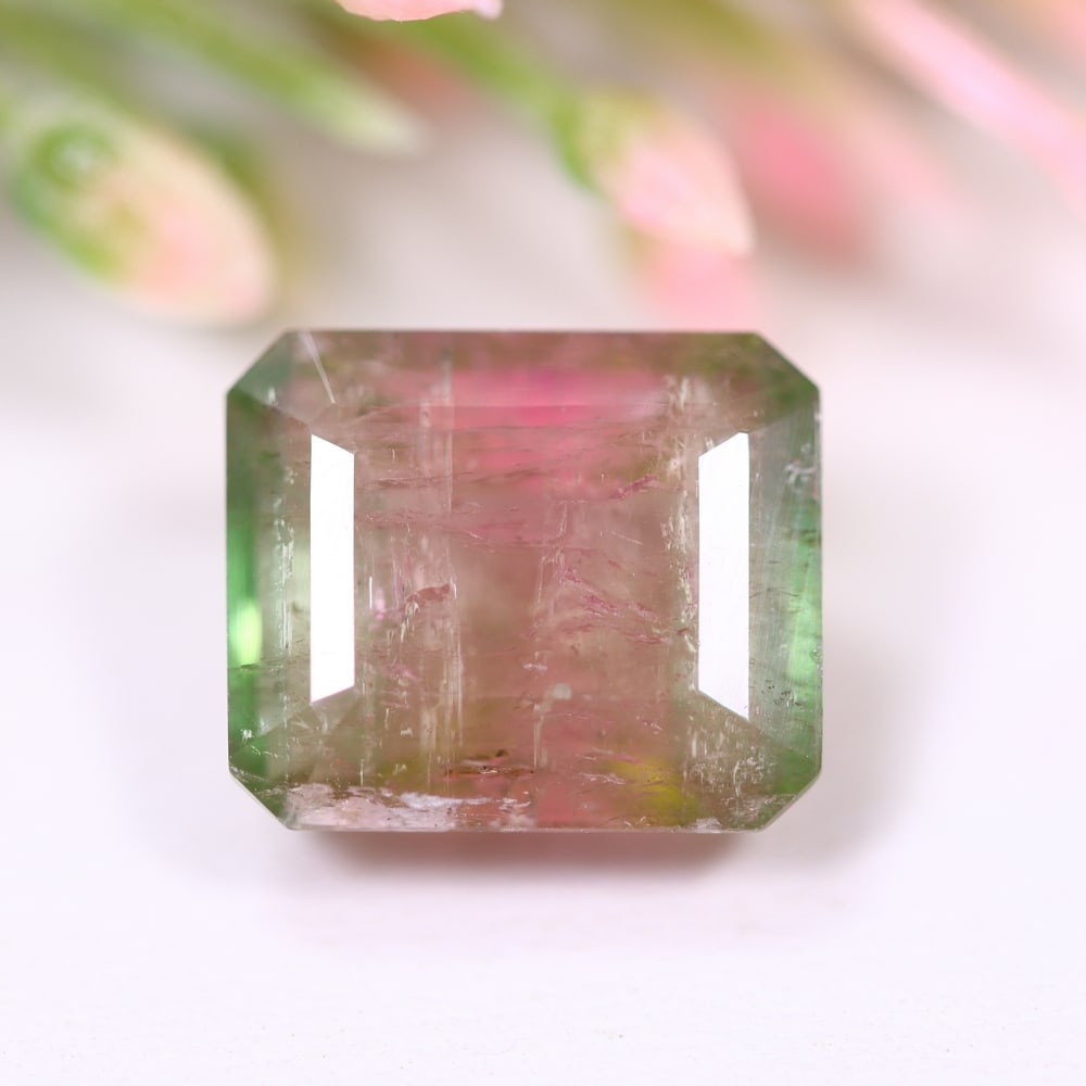 5.85cts Natural Watermelon Tourmaline - Bi-Colour Faceted Cut , 428E: ThousandPlanet Auction Subject: Natural Tourmaline Origin: Africa Carat Weight: 5.85cts Dimension: 11.1x9.3x6.6 mm Type: Faceted, Polished