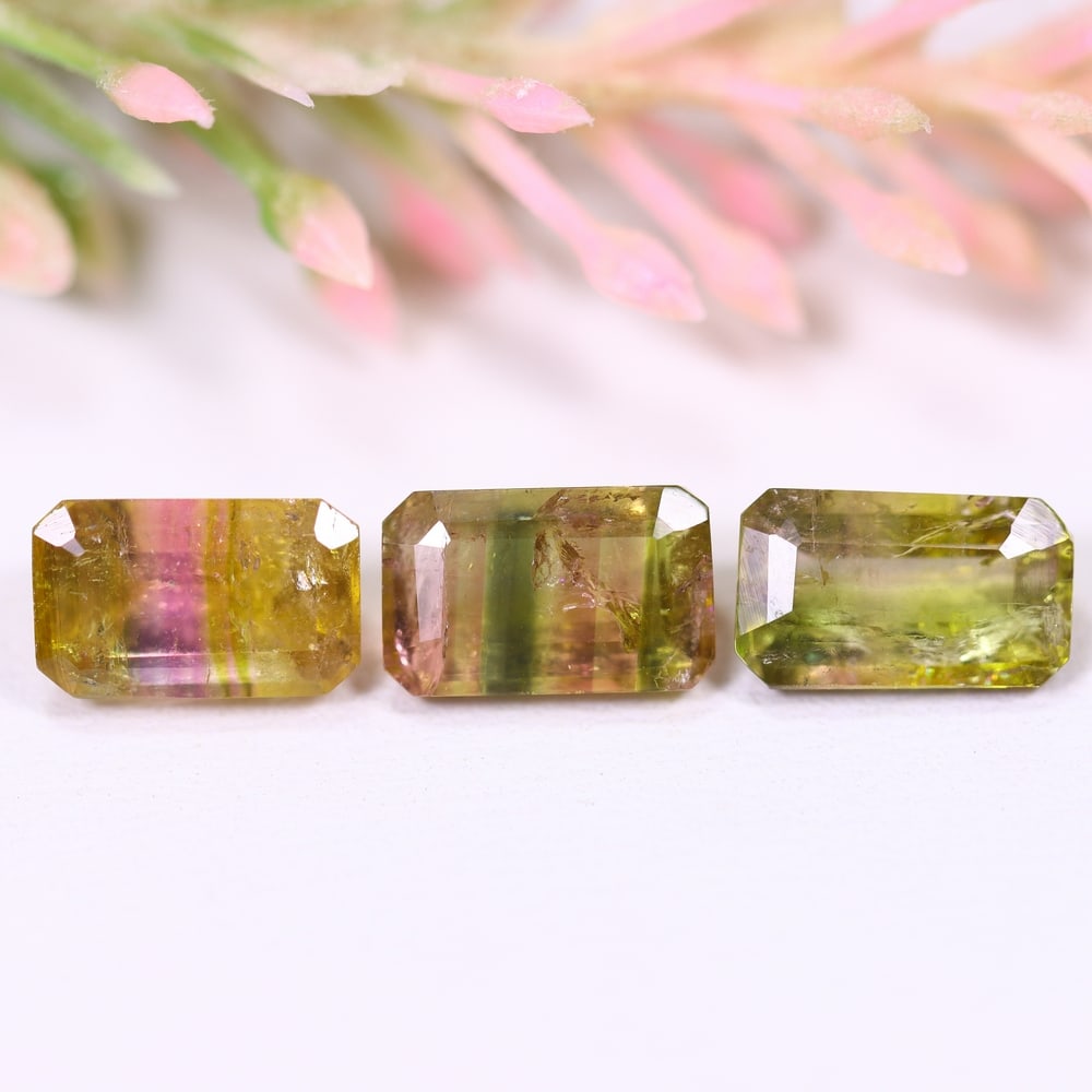 6.54cts Natural Watermelon Tourmaline Set - Bi-Colour Faceted Cut , 74E: ThousandPlanet Auction Subject: Natural Tourmaline Origin: Africa Carat Weight: 6.54 cts Dimension: 9.4x5.8x5.1 mm Type: Faceted, Polished