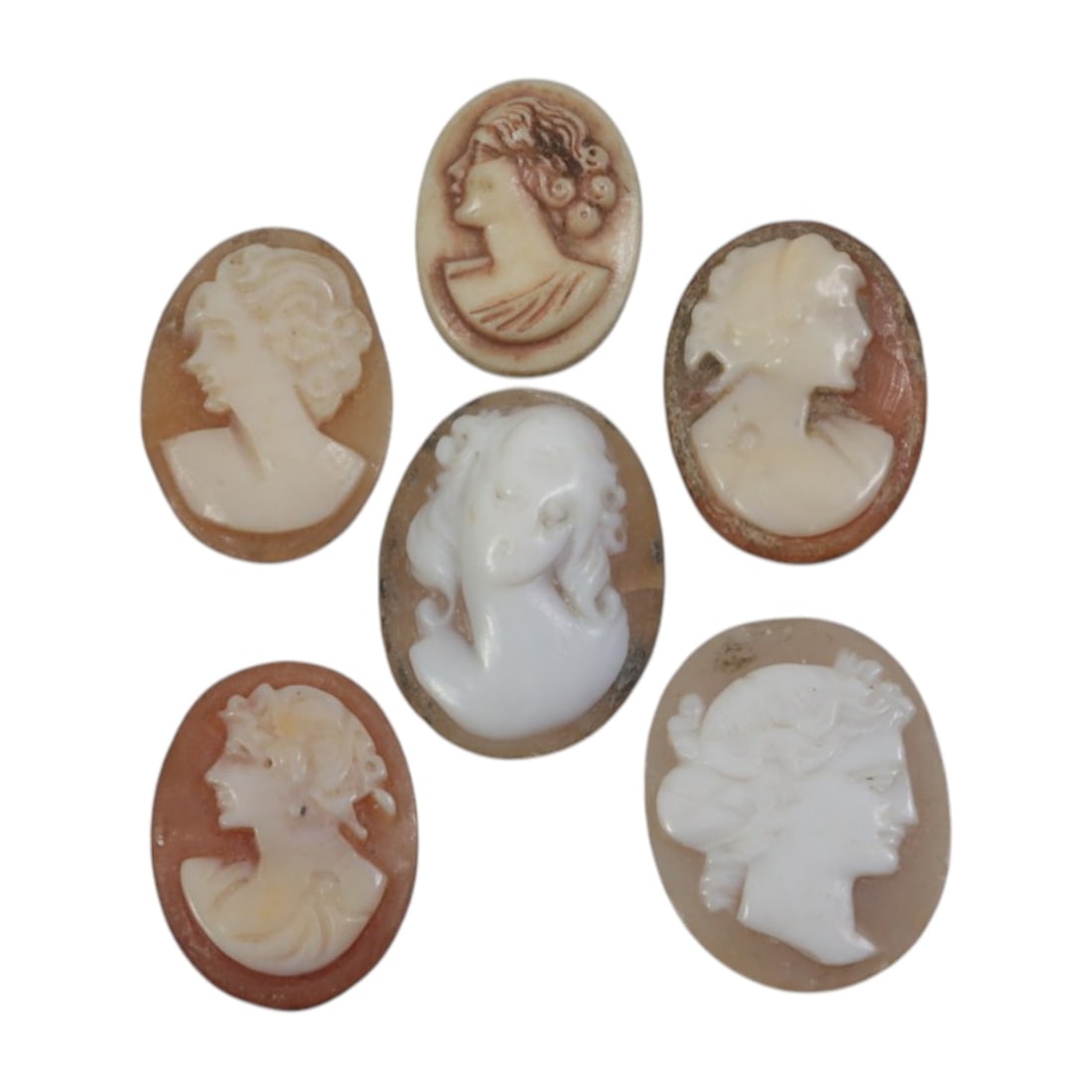 Lot of 6 Antique Victorian Shell Cameos, 46AH: A collection of six antique cameos, hand-carved from natural shell, dating to the Victorian era. Each oval cameo features a classical female profile in raised relief, showcasing characteristic Victori