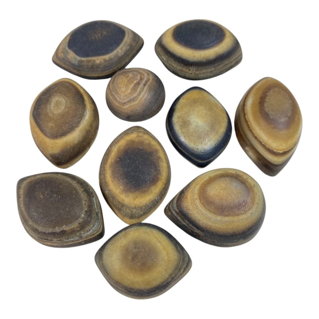A Lot of 10 Antique Tibetan Luk Mik Goat Eye Agate Dzi Beads, 76AB: The group comprises ten antique Tibetan Luk Mik "Goat Eye" dzi beads, carved from natural banded agate with striking concentric patterns in shades of brown, yellow, and deep blue, mimicking the appear
