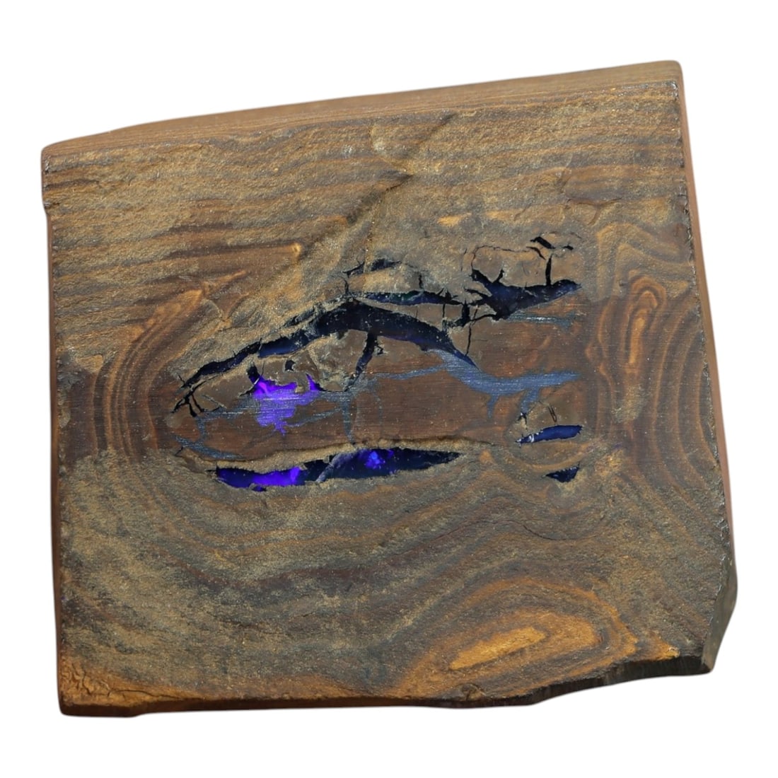 94.91 Carats Winton Boulder Opal Rough Specimen - Natural Queensland Origin, LZ89: This substantial Winton boulder opal rough is a breathtaking showcase of Australia's iconic boulder opal. The rugged, layered ironstone matrix forms a striking canvas, its swirling earthy tones contra