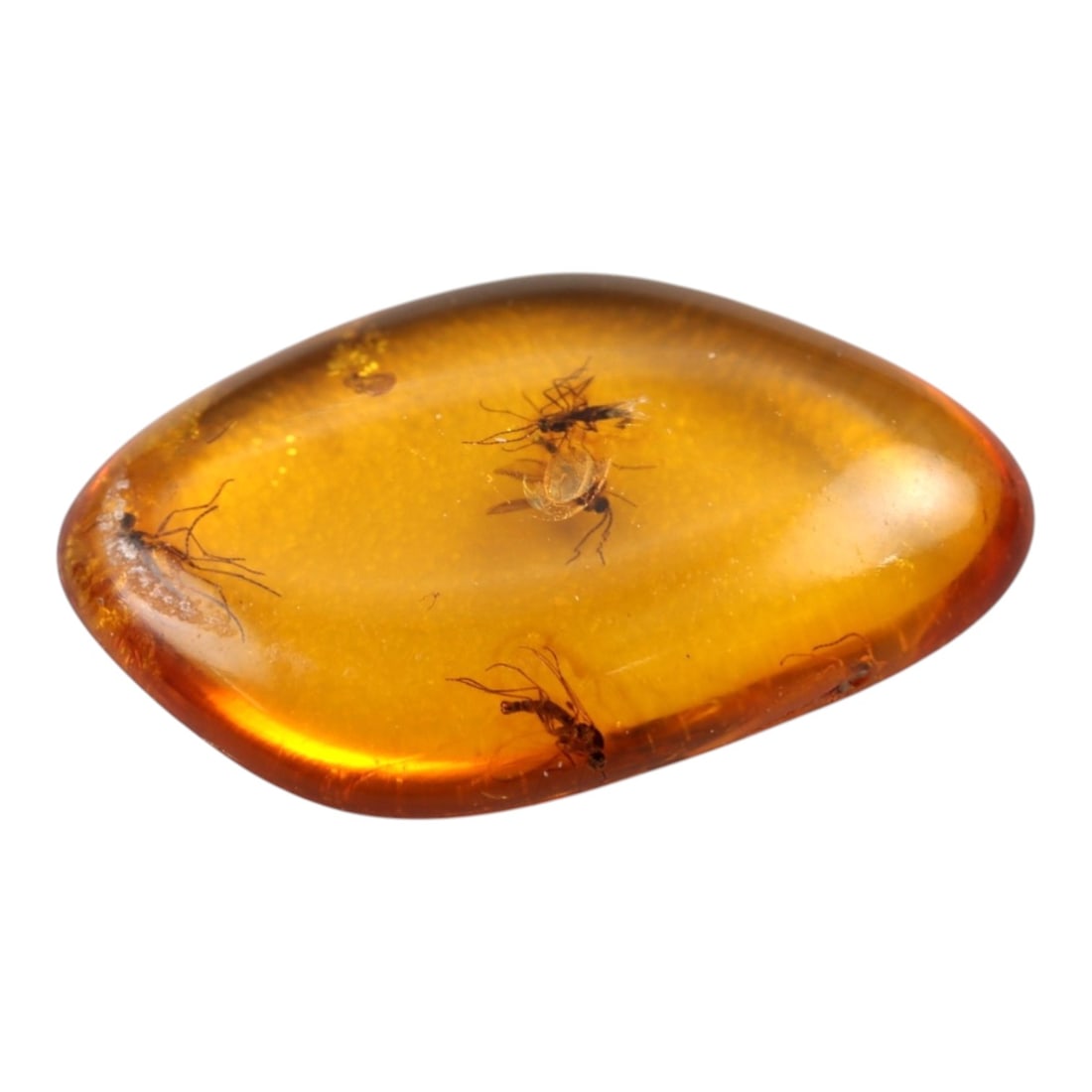 1.13 Carats Honey Amber Cabochon with Multiple Insect Inclusions - Natural Baltic Stone, LZ84 (1 of 1)
