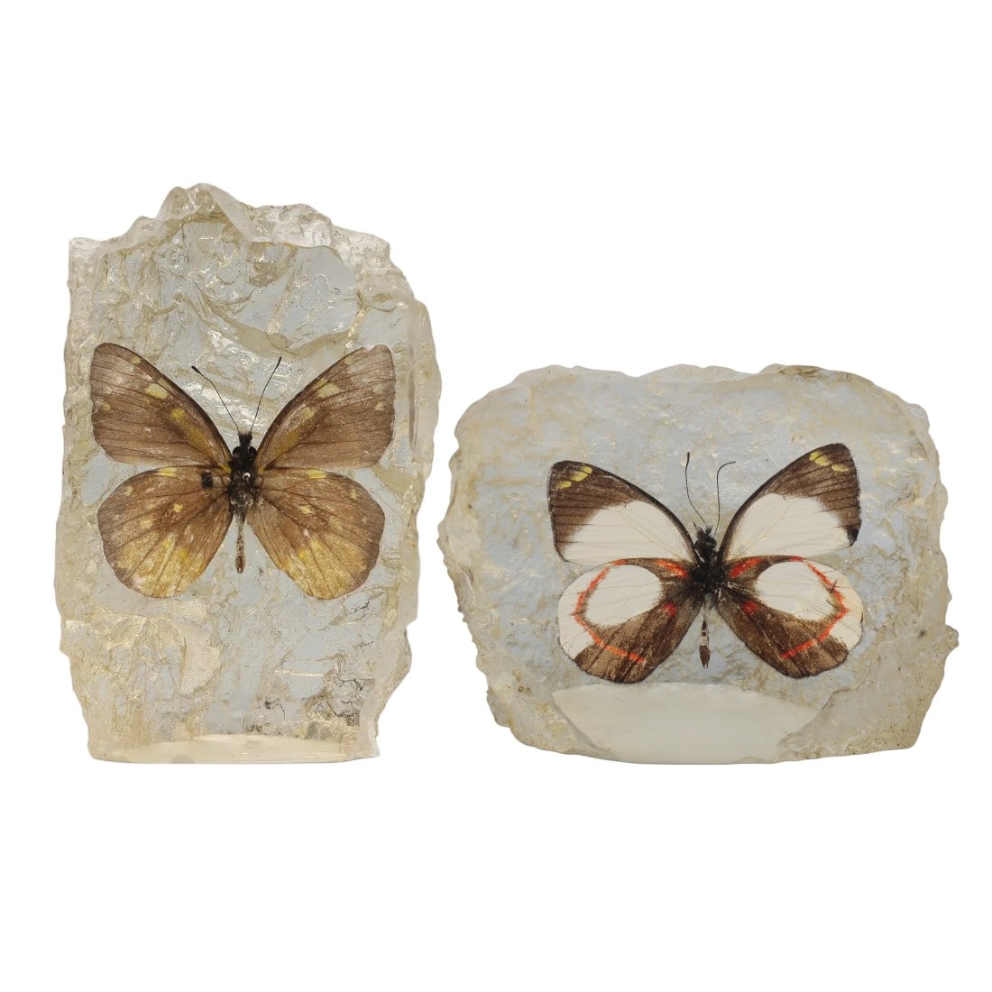 Lot of 2 Resin-Encased Butterfly Specimens, 91AC: Two decorative objects, each containing a butterfly specimen encased in clear, textured resin. The first specimen displays brown wings with scattered yellow spots, while the second features wings with