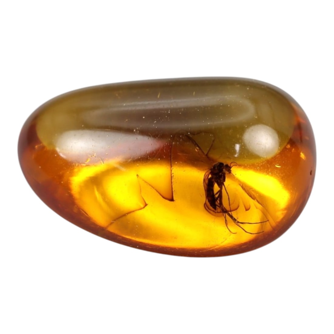 2.38 Carats Teardrop Amber Cabochon with Insect Inclusion - Natural Baltic Stone, LZ86: This captivating 2.38 carat amber cabochon, measuring 13.2mm x 9.4mm x 6.2mm, is a breathtaking prehistoric treasure. Polished into a smooth, organic teardrop shape, the stone glows with a rich, lumin