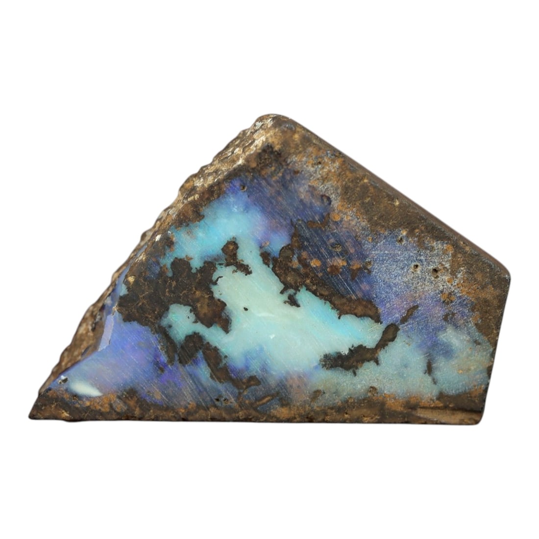 53.39 Carats Winton Boulder Opal Rough Specimen - Natural Queensland Origin, LZ95: This striking Winton boulder opal rough showcases the dramatic beauty of Australian boulder opal at its finest. The polished face reveals a large, continuous sheet of opal glowing with shifting hues o