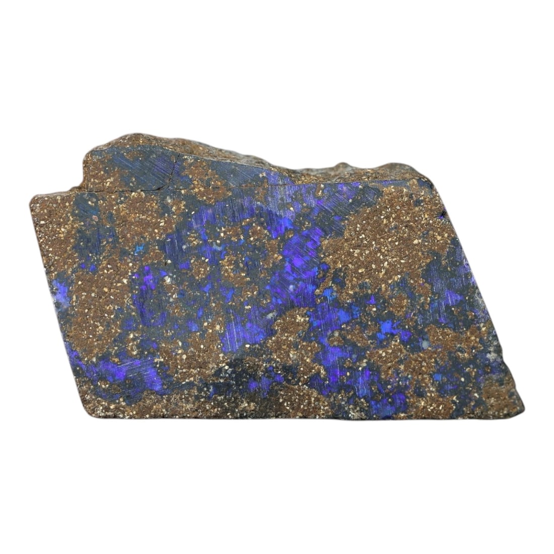40.85 Carats Royal Blue Winton Boulder Opal Rough - Natural Australian Stone, LZ101: This striking boulder opal rough from Winton, Australia, presents a dramatic contrast of rich, metallic ironstone matrix and vivid royal blue opal. The polished face reveals broad, saturated swathes o