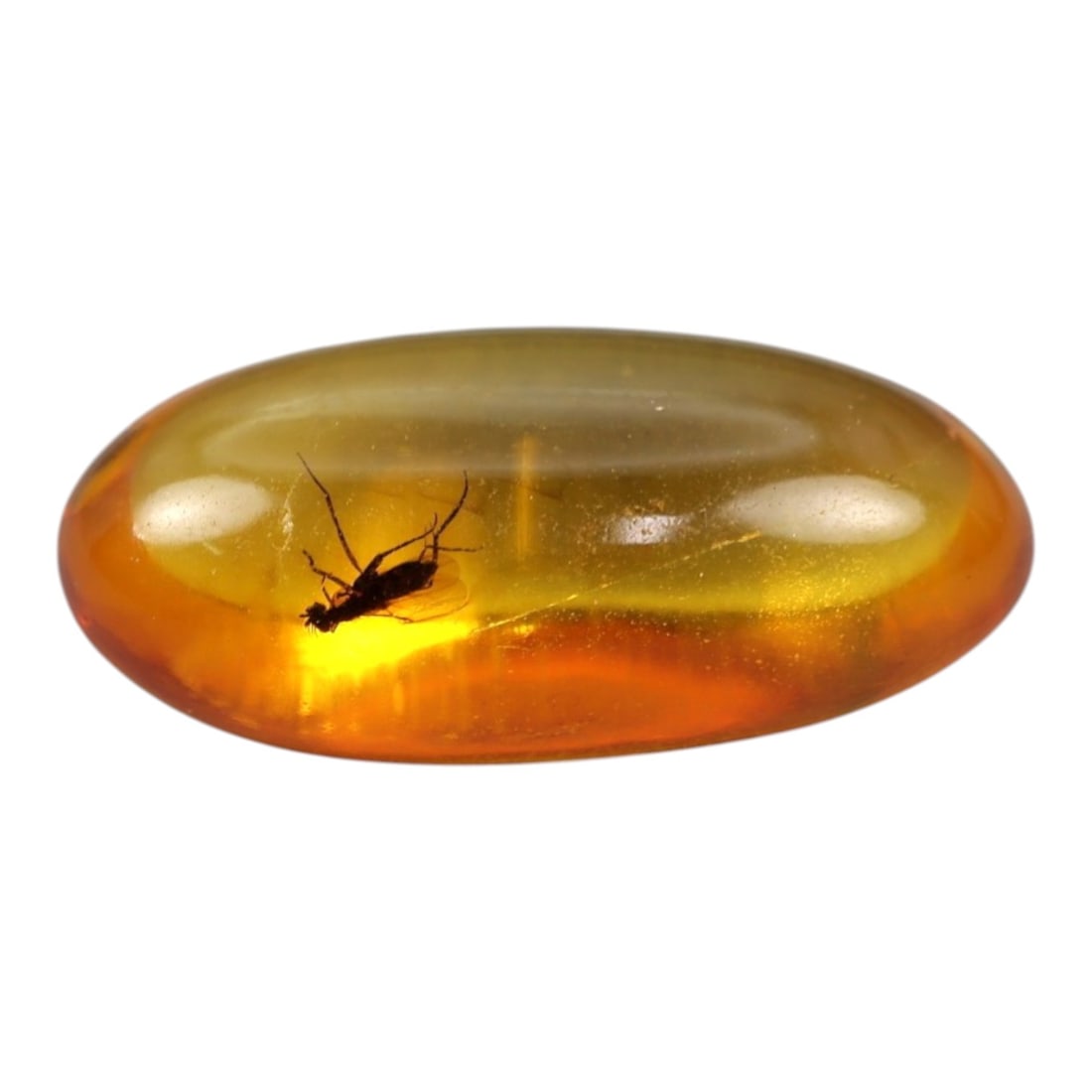 1.50 Carats Golden Amber Cabochon with Insect Inclusion - Natural Baltic Stone, LZ83: This captivating 1.50 carat amber cabochon, measuring 13.5mm x 7.0mm x 5.0mm, is a stunning natural relic frozen in time. Polished into a smooth, elongated oval cabochon, the stone glows with a rich, 