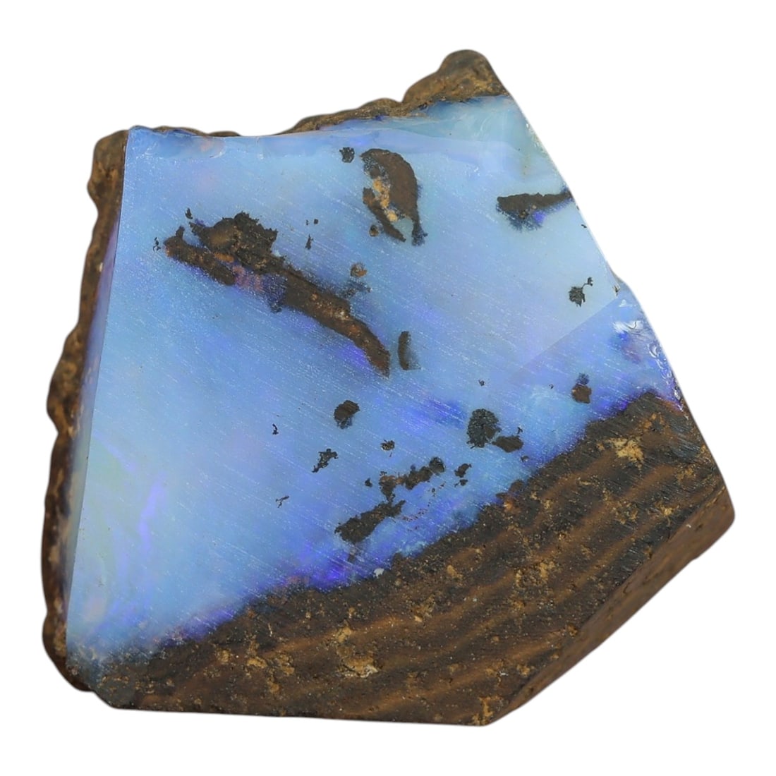 19.97 Carats Winton Boulder Opal Rough Specimen - Natural Australian Stone, 39XP: This exquisite Winton boulder opal rough specimen showcases a brilliant band of vivid sky-blue and periwinkle play-of-color, with subtle hints of lavender iridescence that glow softly under light. Mea