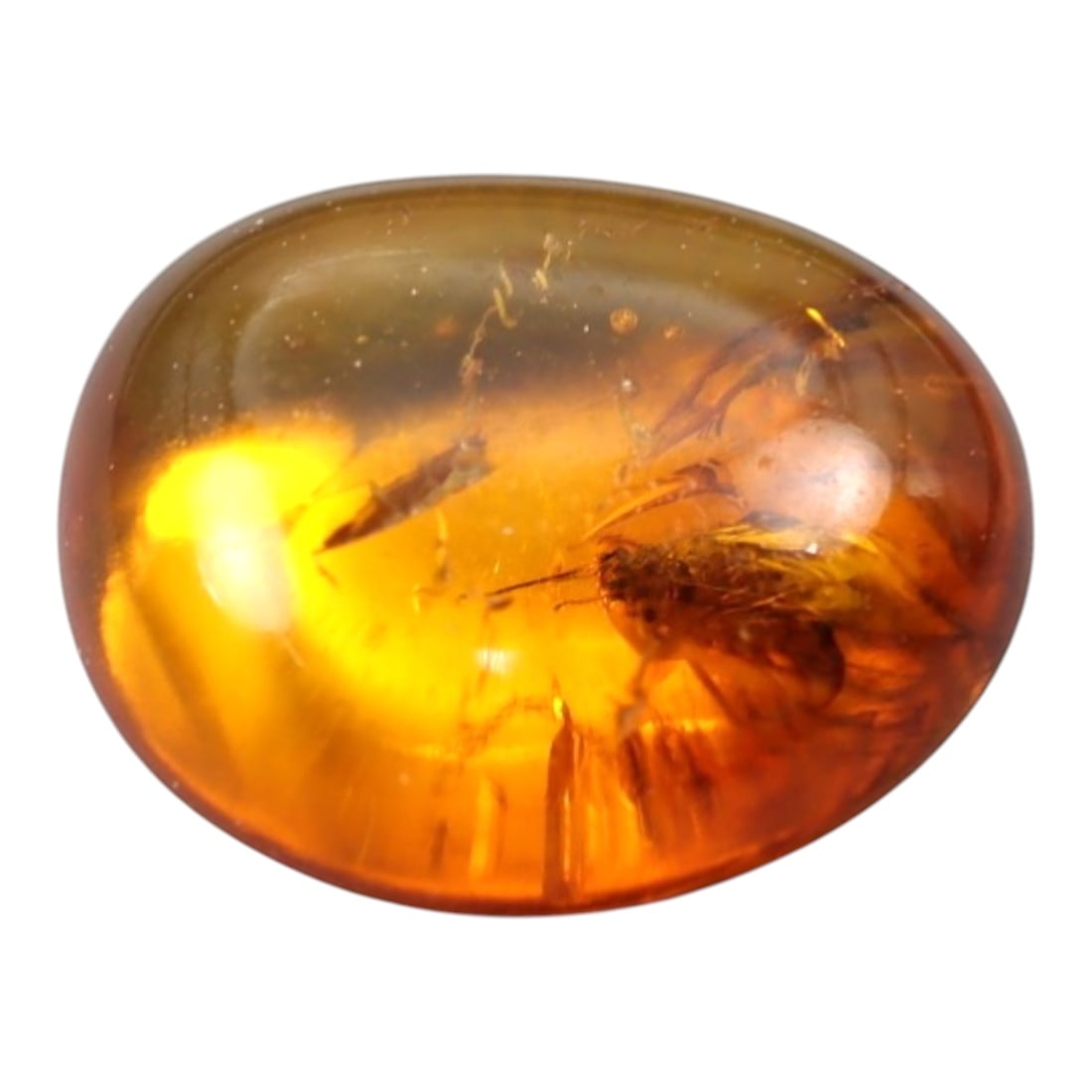 1.05 Carats Golden Amber Cabochon with Detailed Insect Inclusion - Natural Baltic Stone, LZ85: This remarkable 1.05 carat amber cabochon, measuring 8.9mm x 8.5mm x 4.3mm, is a stunning prehistoric time capsule. Polished into a smooth oval cabochon, the warm, luminous golden-orange resin preserv