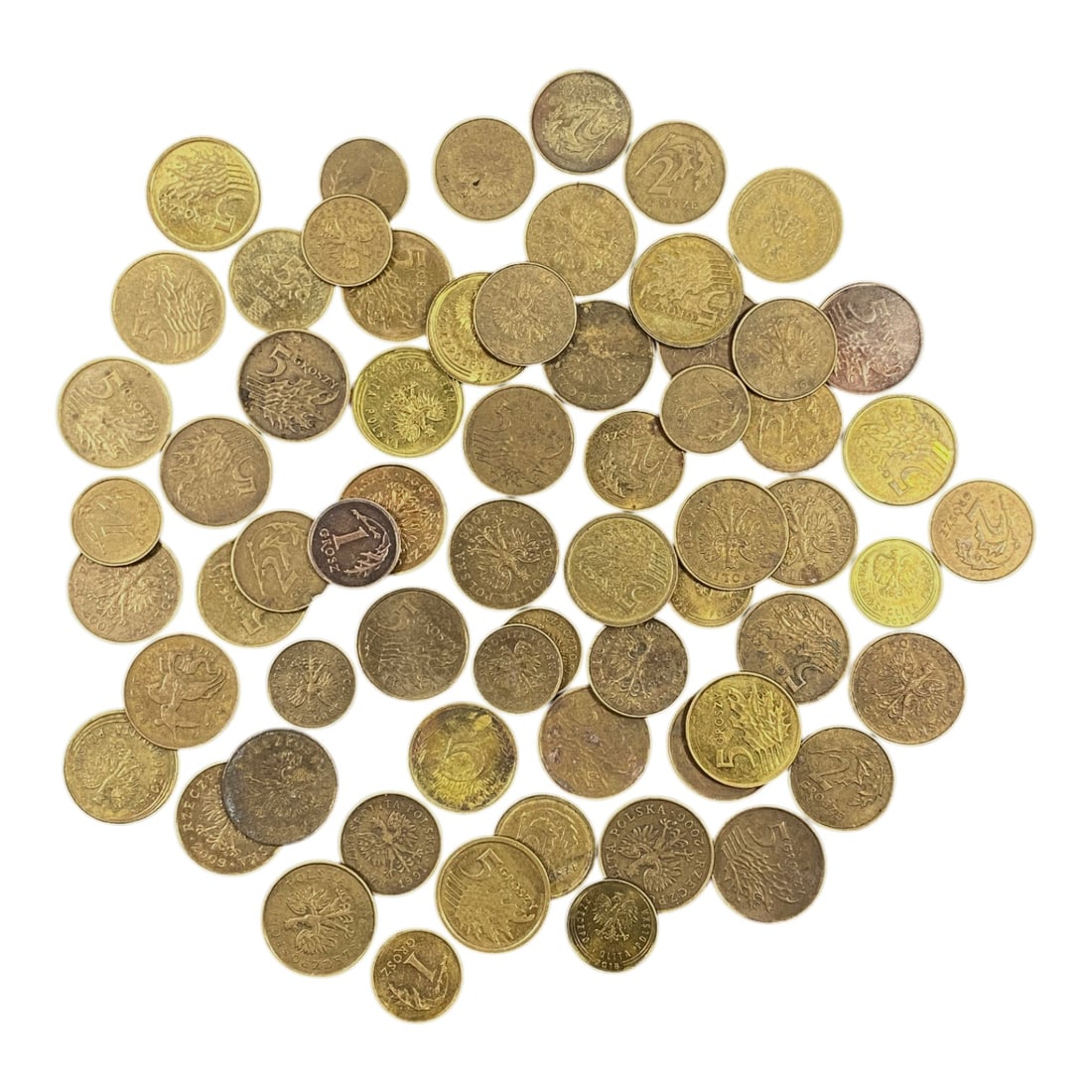 POLAND: Post-Transition Identity - Grosz Bulk Coin Lot, 4V: This extensive lot of Polish Grosz coins showcases the enduring crowned white eagle, Poland's most recognizable national emblem. Denominations range from 1 to 5 Grosz, minted in brass during the post-