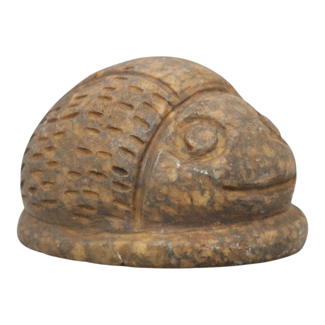 Ancient Steatite Scarab Amulet - Near Eastern Figurine, 62ZQ: Carved from steatite, this scarab amulet features a naturalistic form with incised detailing for facial features and wing texture. The stone has a warm, earthy patina with minor surface wear consisten