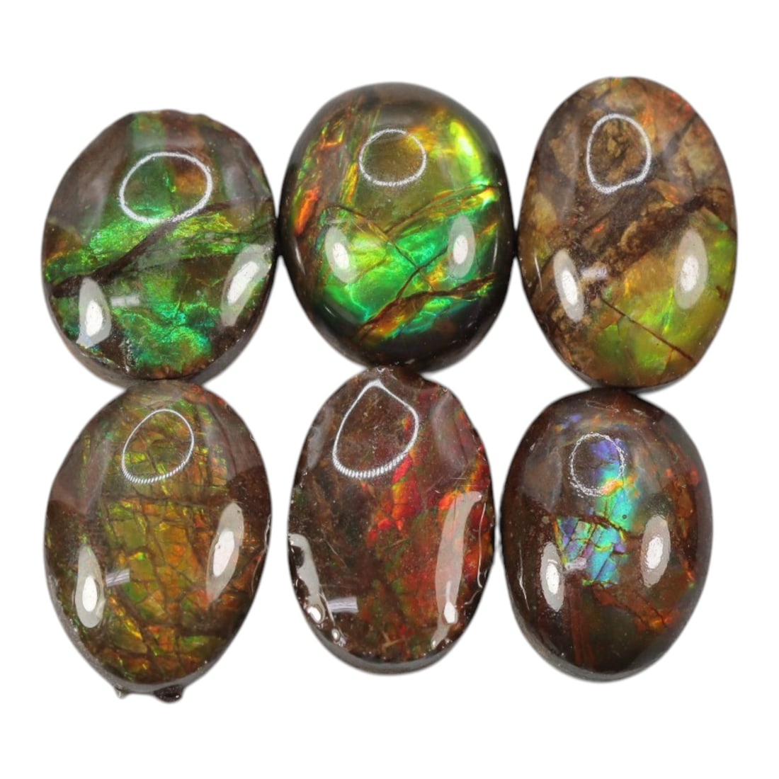 7.36 Carats Multicolor Ammolite Parcel - Natural Canadian Stones, LZ102: This exceptional parcel of natural ammolite cabochons displays a mesmerizing spectrum of iridescent color, ranging from vivid emerald and forest green to fiery crimson, golden yellow, and flashes of e