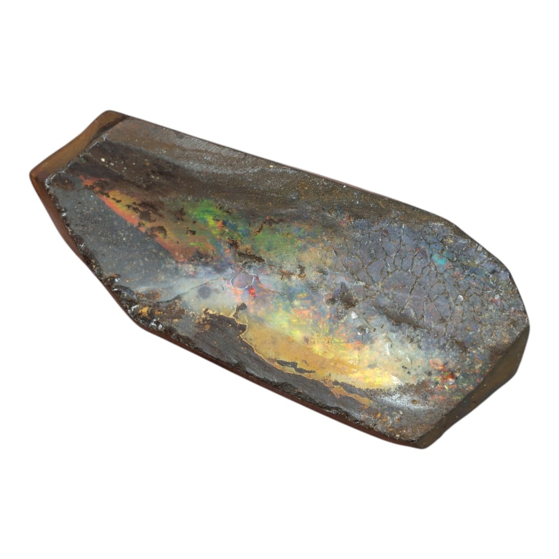 28.26 Carats Multicolor Iridescent Winton Opal Rough - Natural Australian Specimen 30x12mm, 82XM: This exceptional rough opal from Winton, Australia, captivates with a vivid play of color, where intense flashes of fiery orange, golden yellow, vibrant green, and deep blue swirl through a milky, tra