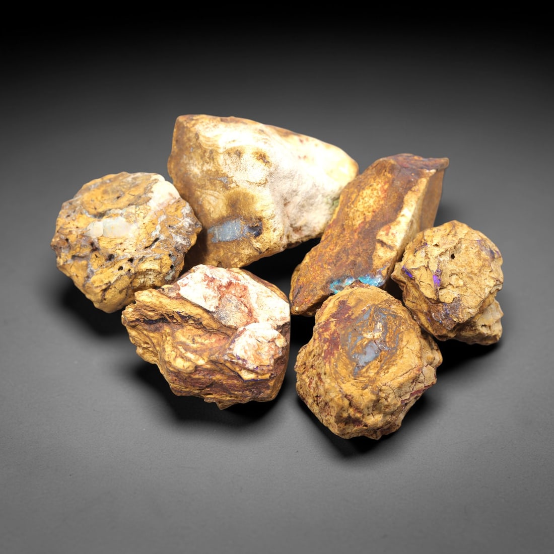 A Lot of Fossilized Boulder Opal Rough Specimens, 61ZJ: This lot comprises six fossilized boulder opal rough specimens, ranging in size from 2.7 to 3.5 cm, with a total weight of 83.25 grams. Each specimen retains its natural ironstone host rock matrix, ex