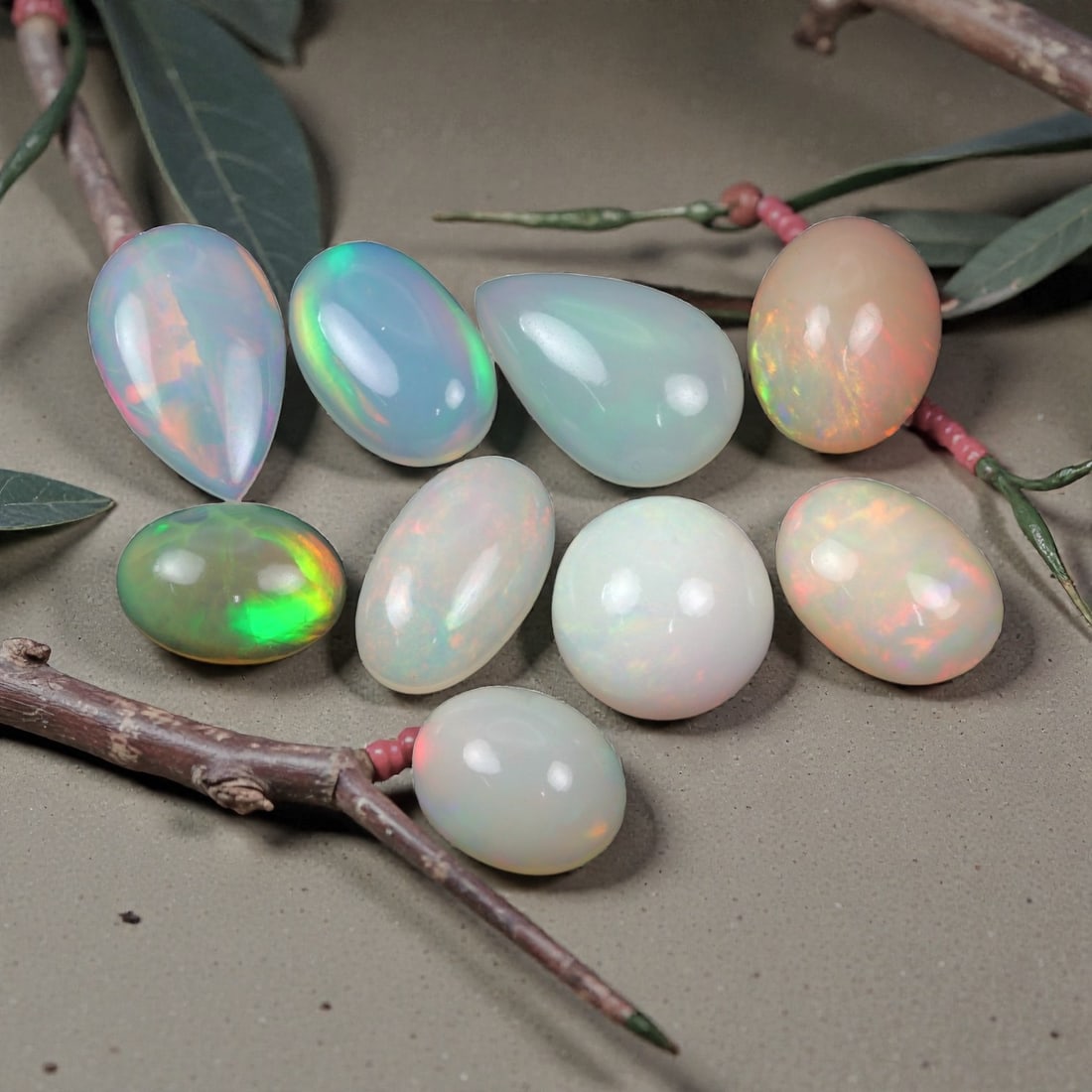 24.95 Carats Pastel Play-of-Color Welo Opal Lot - Natural Ethiopian Stones - 11 to 14 mm, 49XK: This luminous collection of Welo opals delights with soft body tones and a full-spectrum play-of-color. Ranging from translucent white to milky blue, each cabochon displays inner flashes of neon green