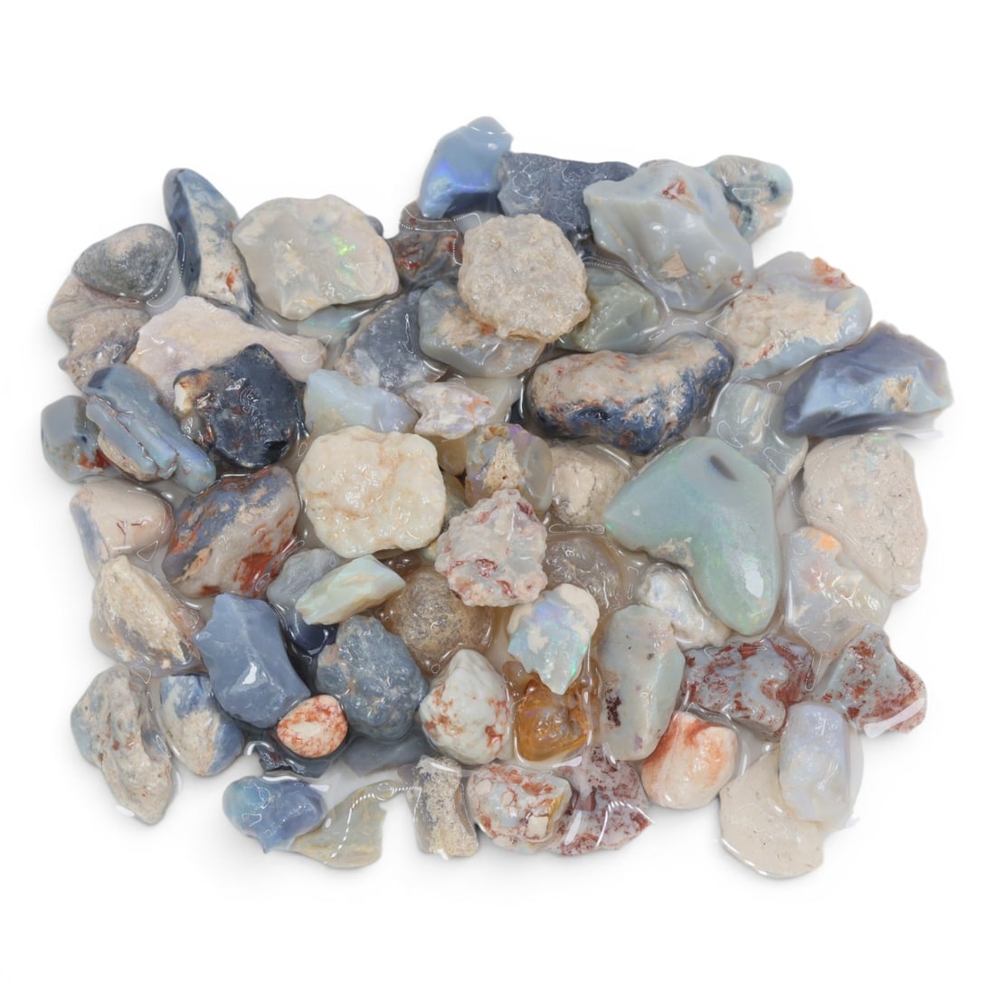 Natural Australian Lightning Ridge Opal Rough, 60g, 96WS: This collection of raw opal rough hails from Australia's legendary Lightning Ridge, showcasing the region's iconic play-of-color potential. The stones exhibit a range of natural hues, from milky white