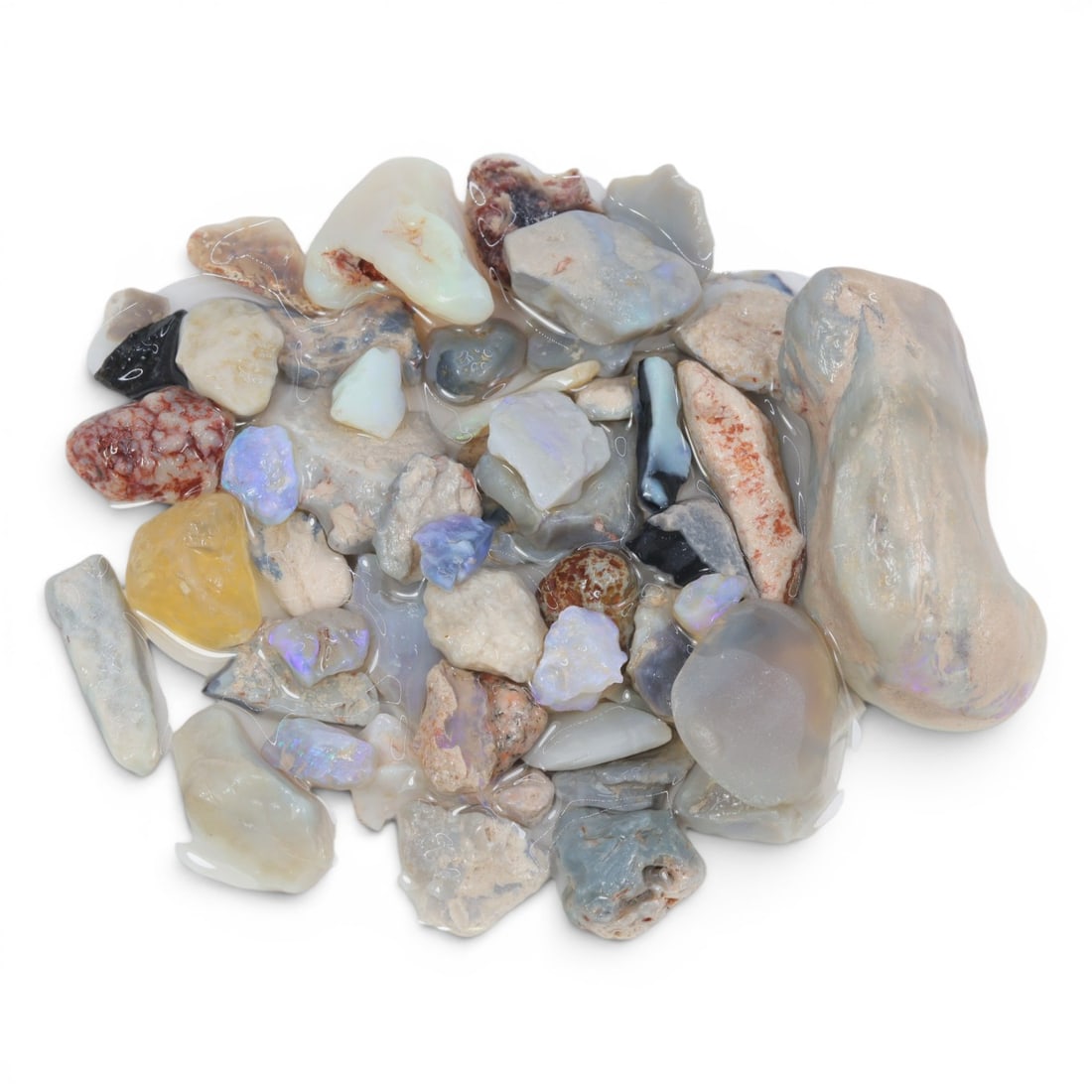 Natural Australian Lightning Ridge Opal Rough, 59g, 98WS: This collection of raw opal rough hails from Australia's legendary Lightning Ridge, showcasing the region's iconic play-of-color potential. The stones exhibit a range of natural hues, from milky white