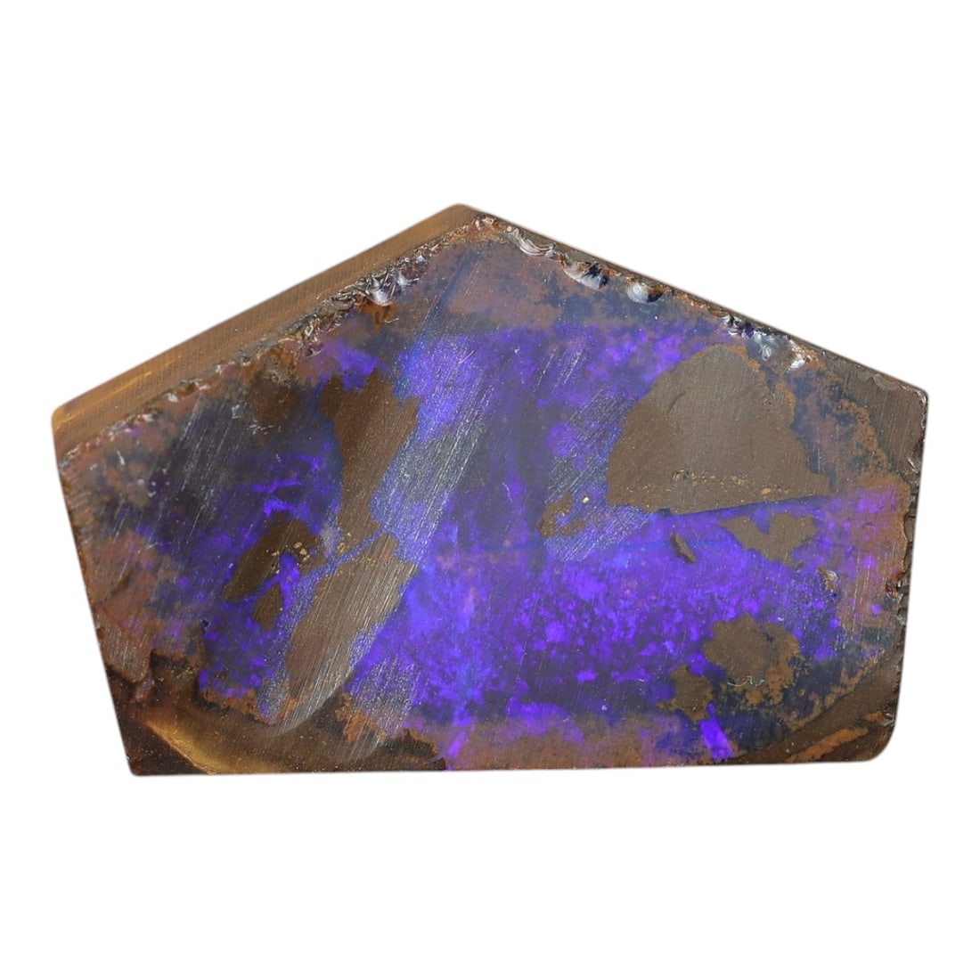 34.15 Carats Deep Purple Winton Boulder Opal Rough - Natural Australian Stone, LZ100: This striking boulder opal rough from Winton, Australia, showcases an intense display of deep, saturated purple play-of-color set within a natural ironstone matrix. The polished face reveals broad swa