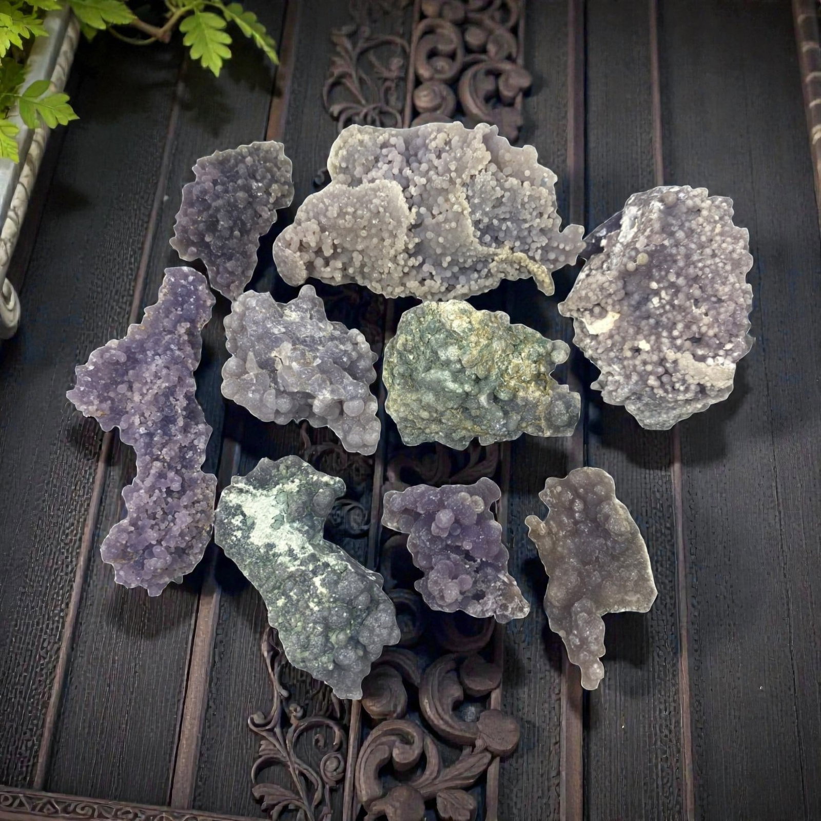 Lot of 9 Grape Agate Mineral Specimens, 38AC: A group of nine natural grape agate specimens, each displaying characteristic botryoidal chalcedony formations in varying shades of purple, lavender, and greenish-blue. The surfaces are composed of de