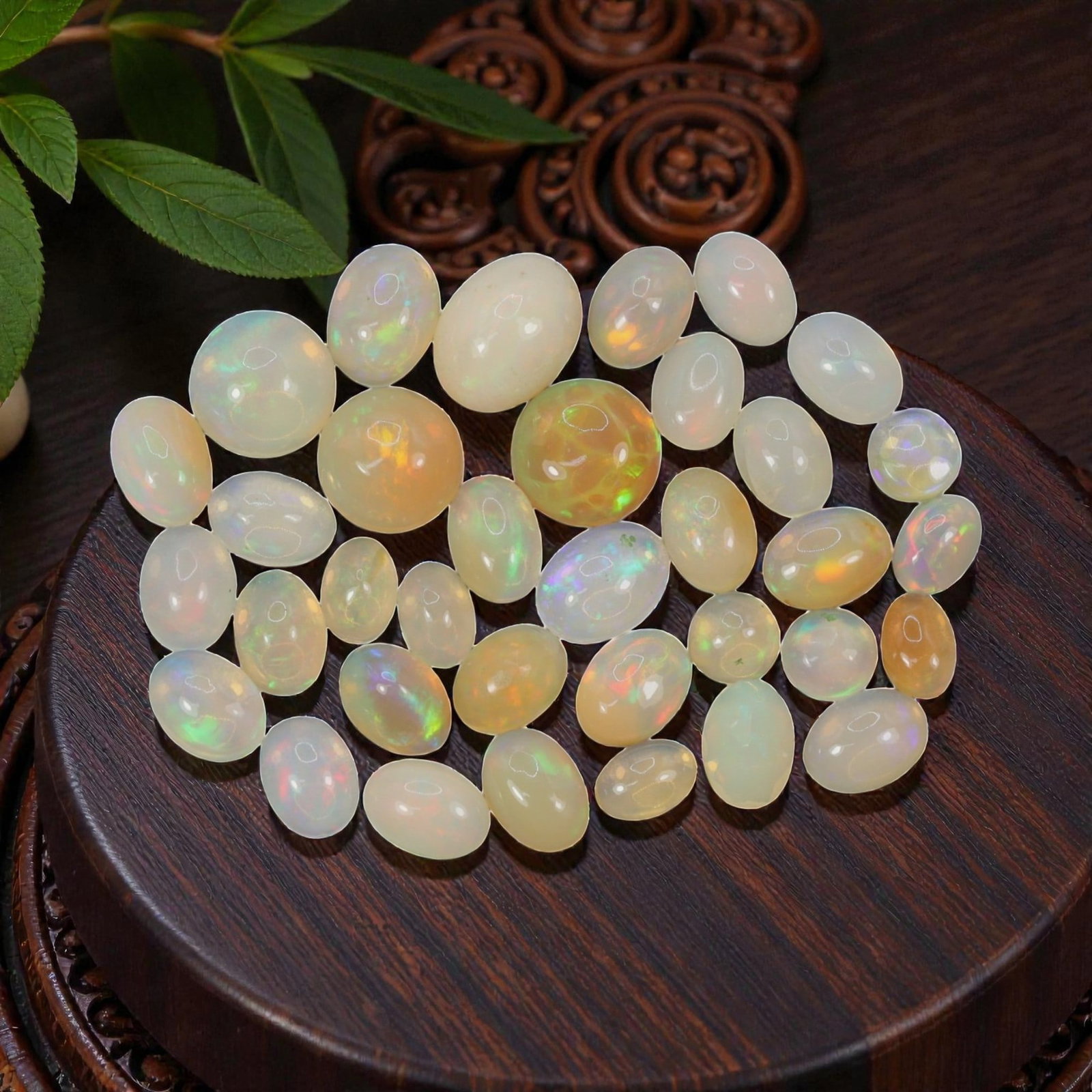 19.73 Carats Welo Opal Cabochon Parcel - Natural Ethiopian Stones, 51XA: This vibrant collection of Welo opals showcases a rich spectrum of translucent body tones, from milky white and soft cream to warm honey and golden-orange, each adorned with vivid, shifting color play