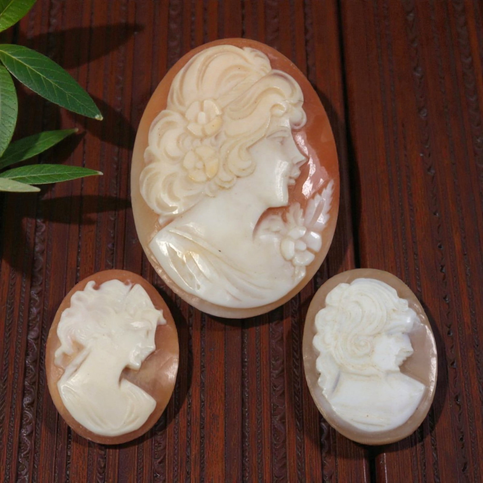 Lot of 3 Antique Victorian Shell Cameos, 53AH (1 of 2)