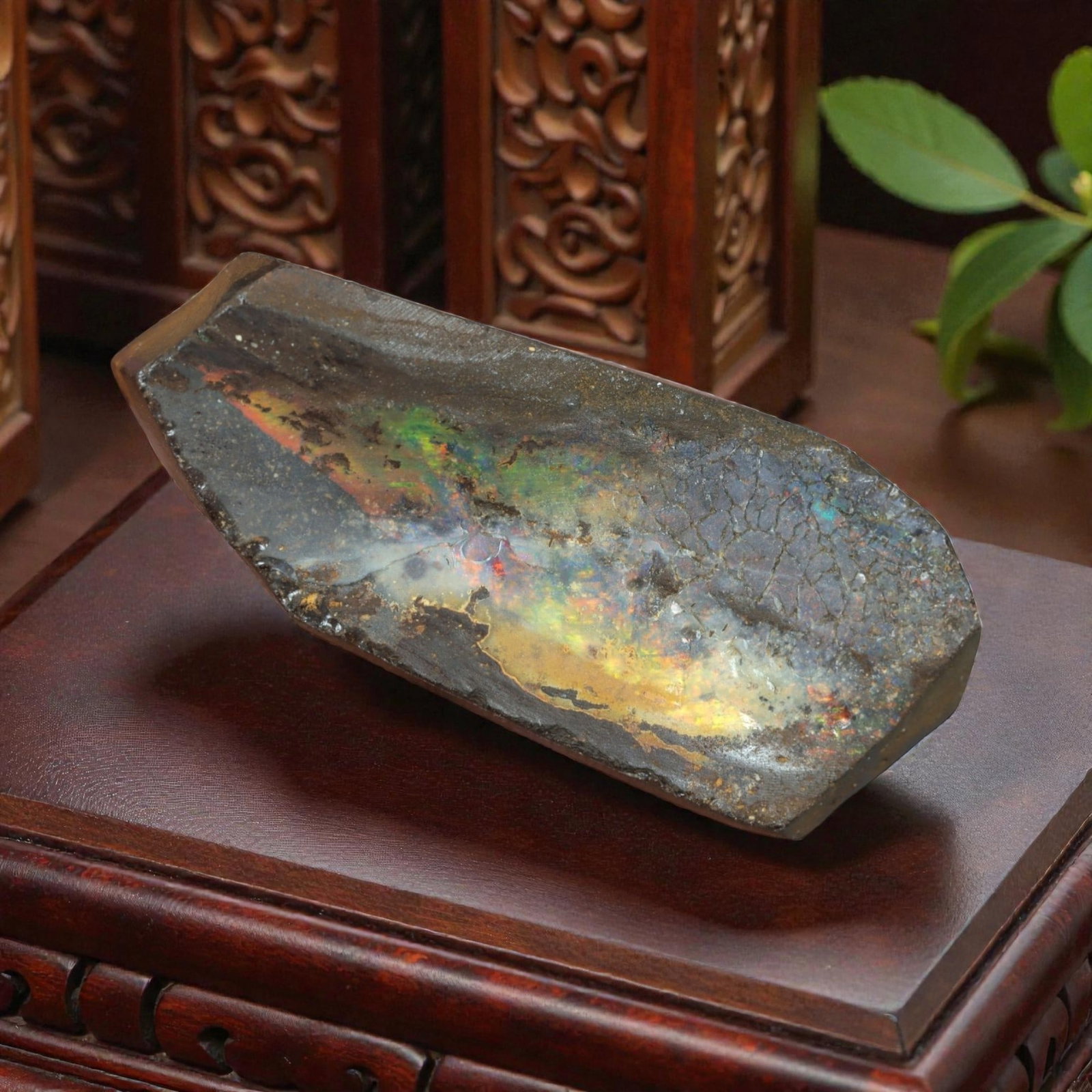 28.26 Carats Multicolor Iridescent Winton Opal Rough - Natural Australian Specimen 30x12mm, 82XM: This exceptional rough opal from Winton, Australia, captivates with a vivid play of color, where intense flashes of fiery orange, golden yellow, vibrant green, and deep blue swirl through a milky, tra
