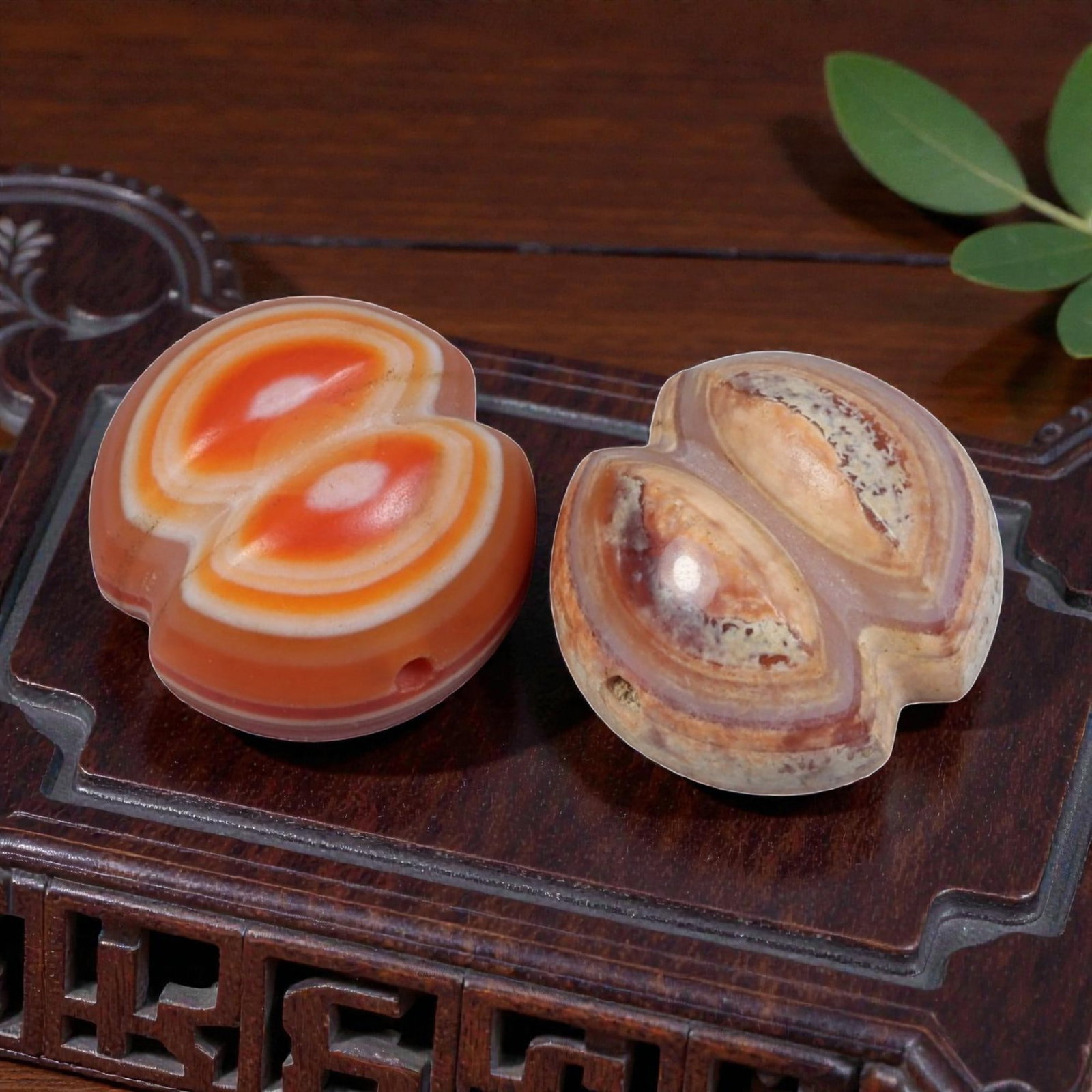 A Pair of Antique Himalayan Banded Carnelian Beads, 73AJ: The pair comprises two double-lobed carnelian beads, each displaying natural concentric banding. One bead features vibrant orange and white bands, while the other exhibits a more muted, patinated surf