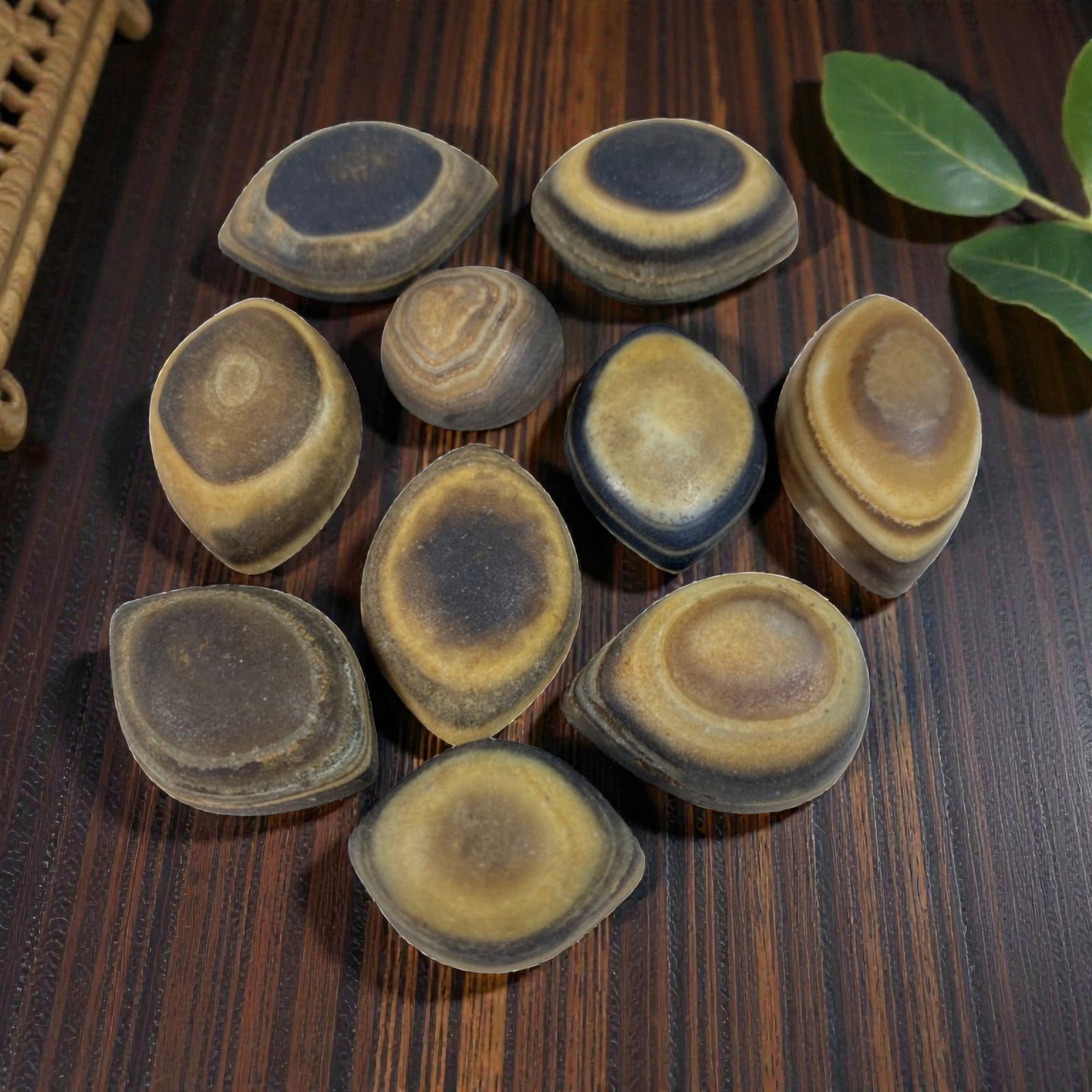 A Lot of 10 Antique Tibetan Luk Mik Goat Eye Agate Dzi Beads, 76AB: The group comprises ten antique Tibetan Luk Mik "Goat Eye" dzi beads, carved from natural banded agate with striking concentric patterns in shades of brown, yellow, and deep blue, mimicking the appear